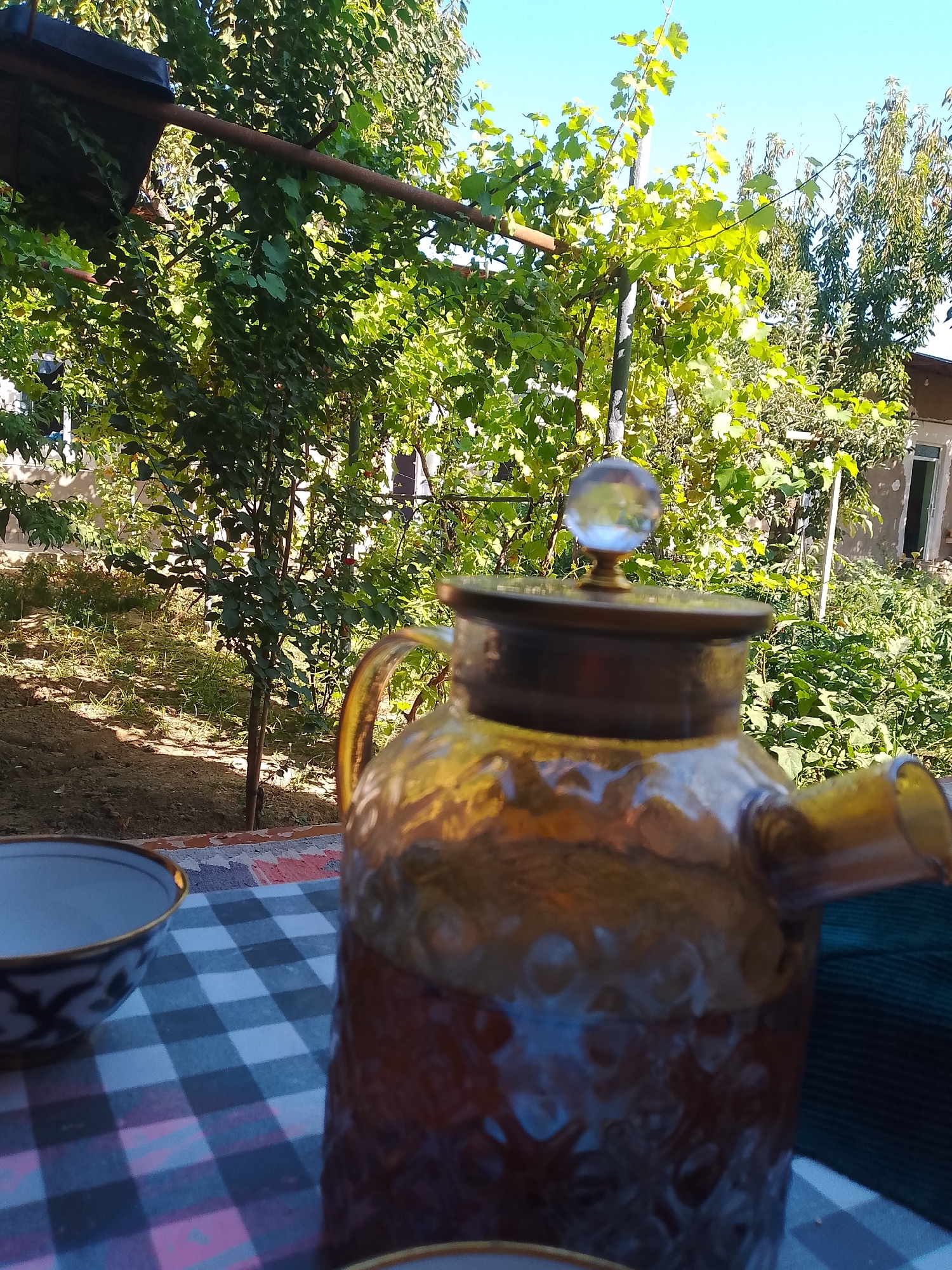 A glass teapot filled with a dark liquid sits on a checkered tablecloth outdoors. The teapot has a brown lid with a clear crystal knob. To the left of the teapot is a bowl with a blue and white pattern around its rim. Behind the table, lush green foliage and trees are visible. In the background, a building with a white door and window can be seen. The scene suggests a peaceful outdoor setting, possibly a garden or backyard, in Erkin, Uzbekistan. The lighting indicates it is daytime, with sunlight filtering through the leaves. There are no people present in the image.