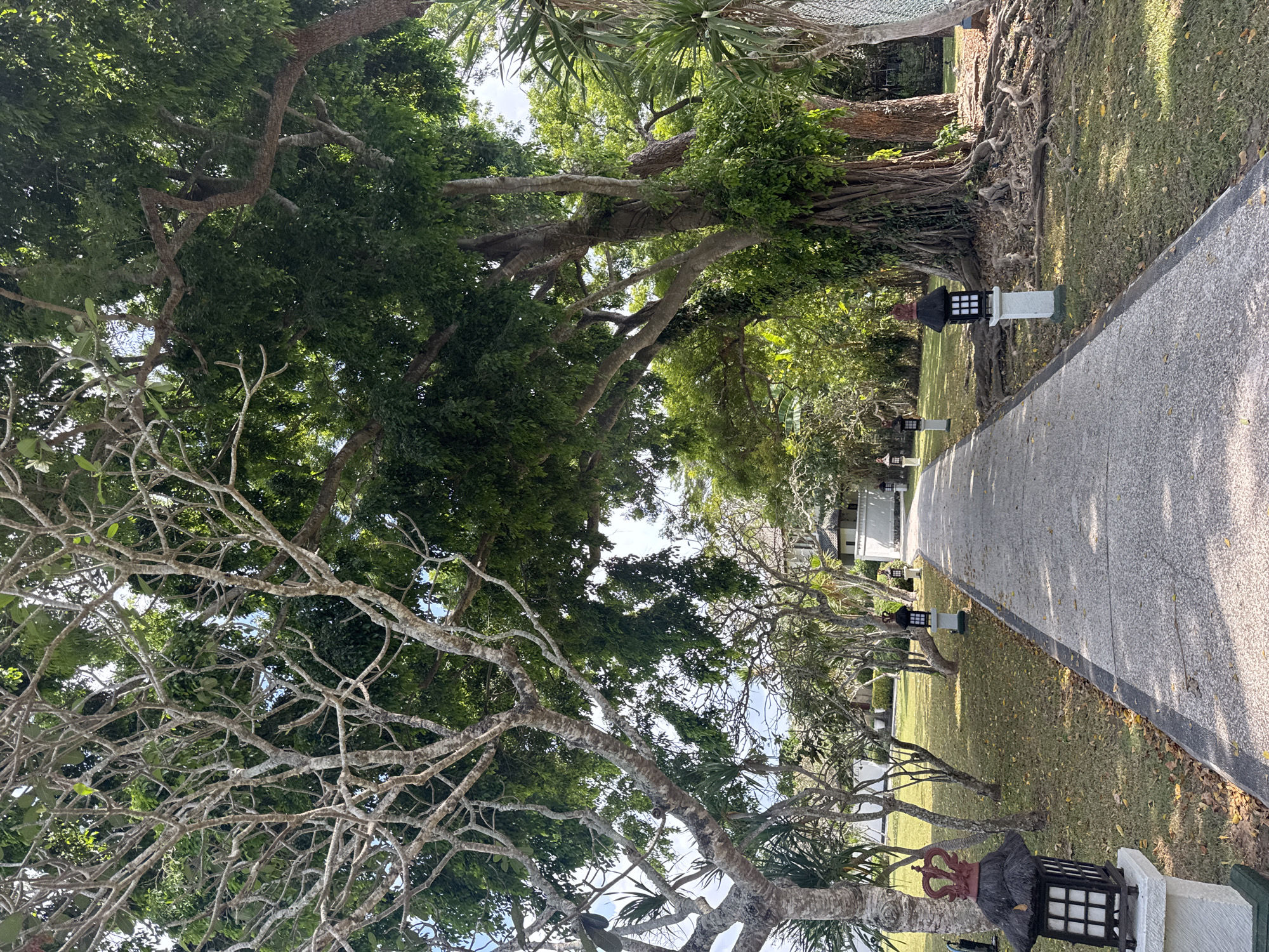 The image depicts a paved walkway leading through a lush, tropical garden. Tall trees with dense green canopies overhang the path, casting dappled shadows. Some trees have exposed, gnarled roots, and the ground is covered in grass and scattered fallen leaves. Decorative lanterns are placed at intervals along the sides of the walkway. In the distance, a white building with a traditional architectural style is visible, partially obscured by foliage. The overall impression is one of a serene and well-maintained outdoor space. The location is identified as Kuta Selatan, Indonesia.