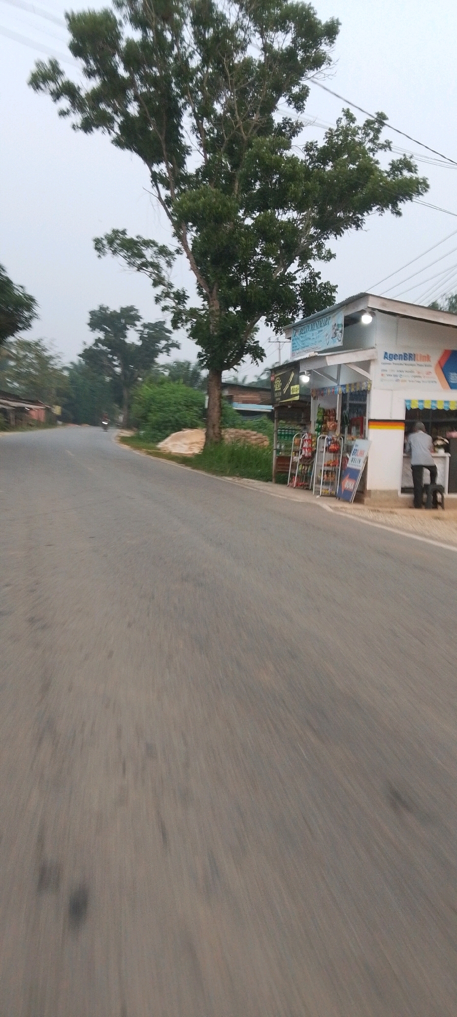 The image depicts a street scene in Lenggadai Hulu, Indonesia, with a focus on a small convenience store. The road, appearing to be a rural or suburban thoroughfare, dominates the foreground with motion blur indicating movement. To the right, a modest store building is visible, featuring a white facade with yellow and blue trim. A sign above the entrance reads "AgenBRILink," suggesting it's a financial agent. A person, seen from the back, is standing at a counter inside the store, facing away from the camera. Various products, including bottled drinks, are displayed on shelves outside the store. A large tree with dense green foliage stands prominently to the left of the store, its branches extending towards the overcast sky. In the background, more trees and a few buildings can be seen, contributing to a rural or semi-rural atmosphere. A motorcycle is visible in the distance on the road. The overall lighting suggests it is either early morning or late afternoon, with diffused light under a cloudy sky.
