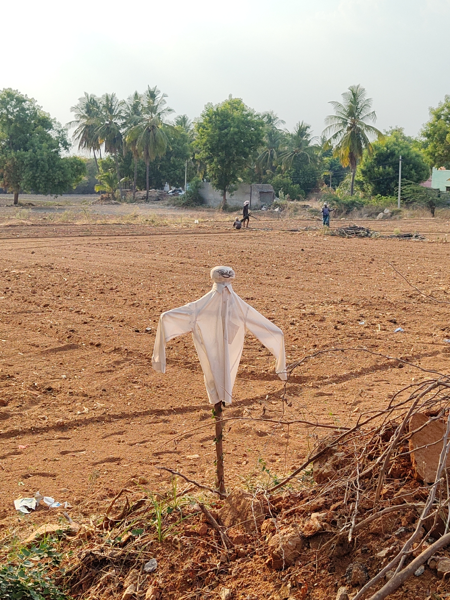 The image depicts a rural agricultural scene in Kammavaripalli, India. In the foreground, a scarecrow constructed from a white shirt and a wrapped head sits in a freshly plowed, reddish-brown field. The scarecrow is mounted on a wooden stake. Surrounding it at the base is a pile of dry branches, dirt, and some scattered trash. The midground features the plowed field, with visible linear tracks, leading to two people in the distance. One is walking, while the other appears to be kneeling or stooping over. Further back, a line of trees, including palm trees, forms the horizon. The sky is overcast and bright.