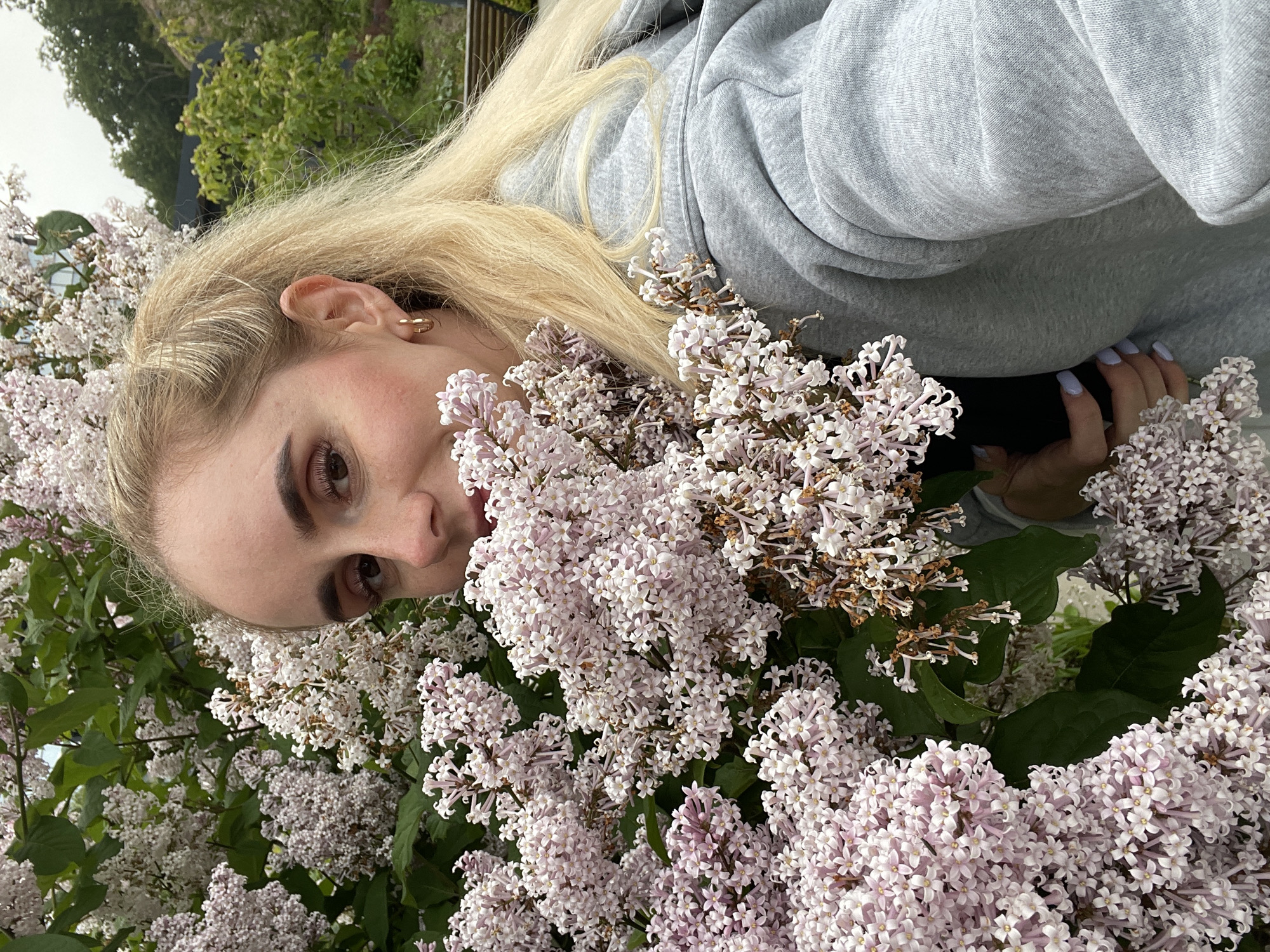 A young Caucasian woman with blonde hair pulled back in a ponytail takes a selfie outdoors, surrounded by blooming lilac bushes. She is wearing a grey hooded sweatshirt and a small gold hoop earring in her visible ear. Her gaze is directed towards the camera, and she is holding a cluster of lilacs partially obscuring her face. The background shows green foliage, trees, and hints of a park bench, suggesting a public outdoor space. The lilacs are a pale pinkish-white, with some branches showing signs of browning. The lighting indicates it is daytime, possibly overcast. The location is not specified in the image.