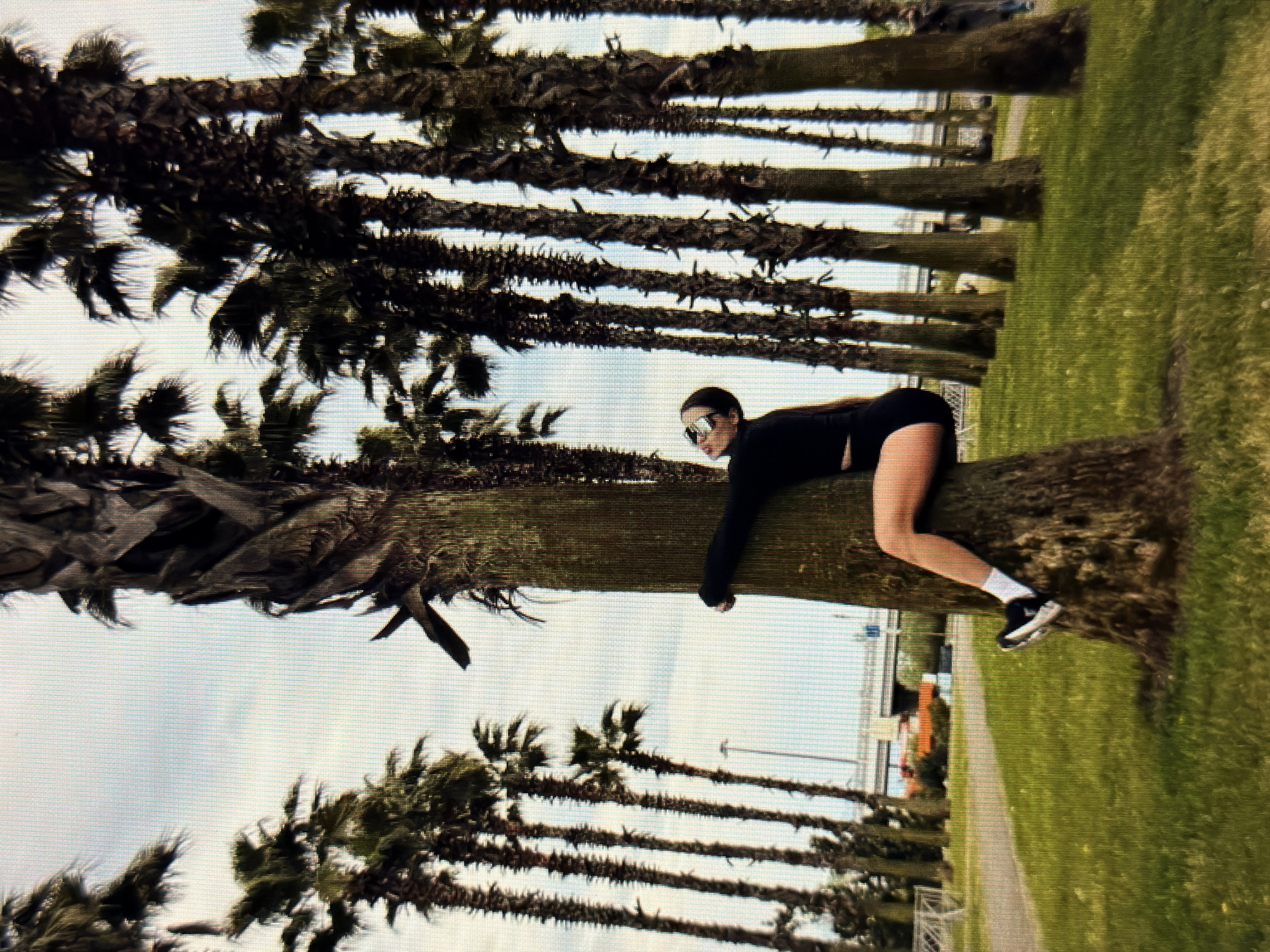 A young woman with dark hair, wearing sunglasses, a black crop top, black shorts, white socks, and black and white sneakers, is embracing a palm tree in an outdoor park. She is positioned on the tree trunk, with her left arm wrapped around it and her legs extended downwards, her right leg bent and resting on the tree. The park features lush green grass and a row of tall palm trees in the background. In the distance, a bridge and a road with vehicles are visible. The sky is overcast with clouds. The image appears to have been taken in the city of Sirius, Russia.