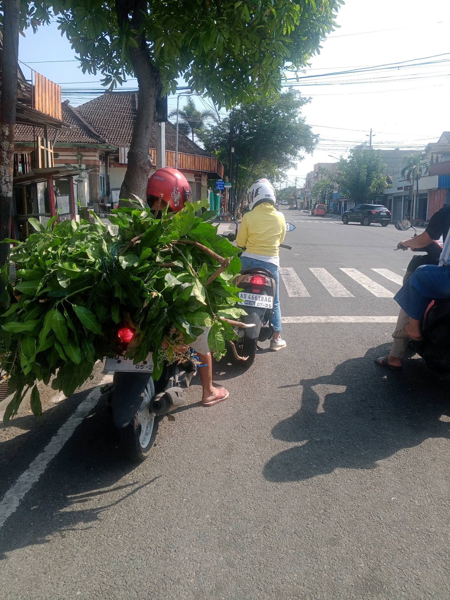 An overhead shot captures a street scene in Wonogiri, Indonesia, on a sunny day. In the foreground, a motorcycle, laden with a large bundle of green branches, is parked on the asphalt road. A person in a red helmet sits on the motorcycle, their legs obscured by the foliage. To the right of the motorcycle, another motorcycle is visible, with a person wearing a yellow jacket and blue jeans. The street is lined with buildings, some with tiled roofs and wooden awnings. Power lines crisscross the sky. A pedestrian crossing is marked by white stripes on the road. The scene appears to be captured from a slightly elevated perspective, looking down at the street.