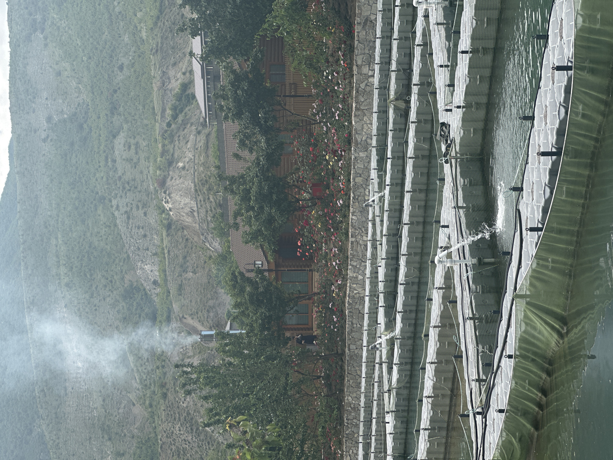 This landscape-oriented image captures a scenic and operational outdoor environment, likely in Miatli, Russia.
In the foreground, a large body of water, possibly a reservoir or lake, features an extensive aquaculture facility. Numerous parallel, modular structures, appearing as white or grey floating platforms, are visible across the water. These structures are interconnected and incorporate netting, forming enclosures for fish farming. Several areas within these enclosures show water splashing, suggesting active aeration or water circulation.
A stone wall delineates the edge of the water, separating it from the land. Behind this wall, amidst dense green foliage and trees, are several rustic wooden buildings, resembling cabins or lodges, each with a grey roof. A vibrant garden with numerous pink, red, and yellow flowering bushes adds color to the area surrounding the buildings. From a chimney on one of these buildings, a distinct plume of white smoke or steam rises, indicating active operations or heating.
The background is dominated by a vast, steep mountainside, thickly covered in green vegetation, characteristic of a rugged, natural landscape. The overall scene is cast in diffused daylight, with a noticeable haze or mist contributing to the atmospheric effect, particularly towards the distant mountains. No people are visible, and there is no discernible text in the image.