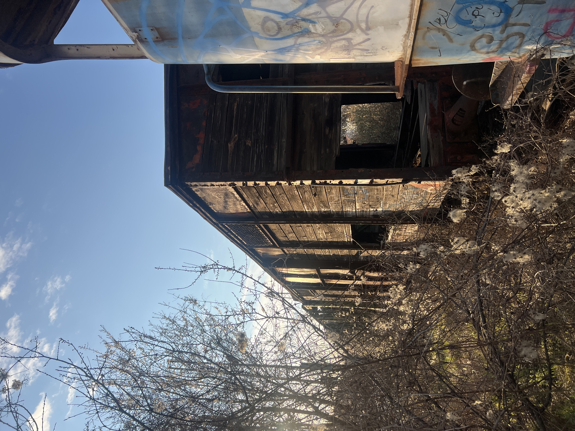 The image depicts the exterior of an old, derelict train car, possibly a boxcar, featuring weathered wood and rusted metal. The car shows signs of disrepair with missing panels and graffiti on its upper section. The car is surrounded by overgrown vegetation, including bushes with white, fluffy seed heads and bare branches. The background reveals a clear blue sky with scattered clouds. The photograph is taken at an unusual angle, with the camera pointing upwards. The exact location in Sofia, Bulgaria is not discernible from the image alone.