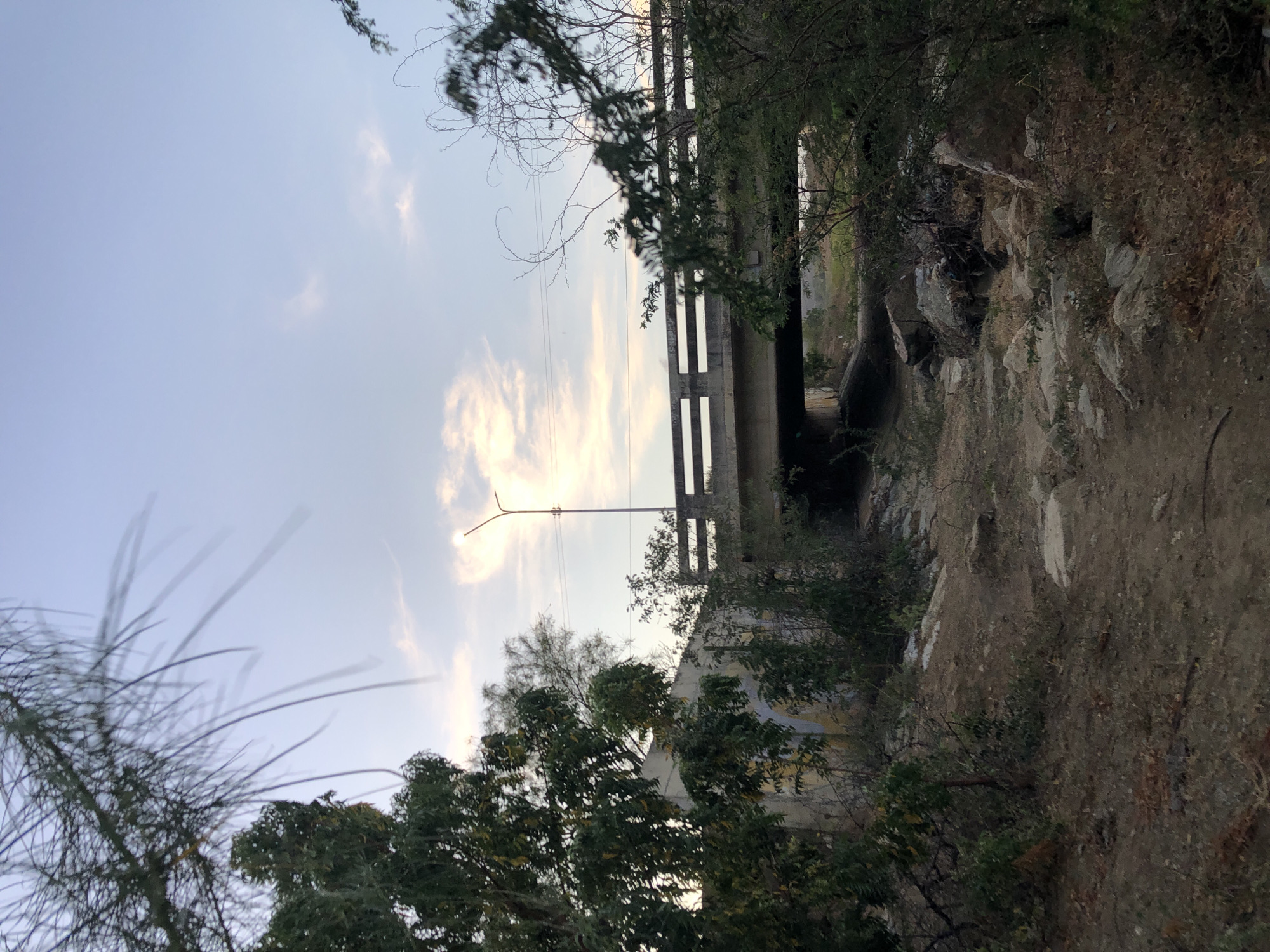 The image shows a bridge in a natural setting. The bridge is made of concrete and has a simple design. The surrounding area is overgrown with vegetation, including trees, bushes, and grass. A dirt path leads to the bridge. The sky is visible in the background, with some clouds. A streetlight can be seen next to the bridge. The scene appears to be in a rural or natural area, perhaps on the outskirts of Altagracia, Venezuela, given its described location.