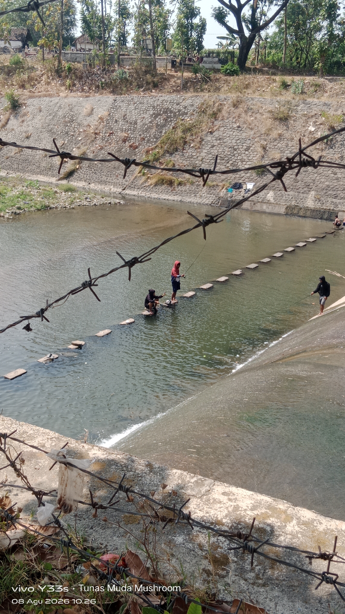 In Tanjung, Indonesia, a body of water, likely a river or canal, is crossed by a line of stepping stones. Three individuals are present in the water. One person, wearing a red hooded sweatshirt and dark shorts, stands on a stepping stone, holding a fishing rod. Another individual, dressed in dark clothing, is seated on a stepping stone, also appearing to be fishing. A third person, wearing a dark hooded jacket and shorts, stands on a stepping stone further down the line, holding a fishing rod. The water is relatively shallow around the stepping stones, with a concrete structure, possibly a weir or dam, creating a small cascade on the right side of the frame. Barbed wire fences are prominent in the foreground, obscuring parts of the scene. The background consists of a sloped embankment covered in stone and vegetation, with trees and buildings visible at the top. The timestamp "08 Agu 2026 10.26" and "vivo Y33s - Tunas Muda Mushroom" are superimposed on the image, indicating the device and location tag information.