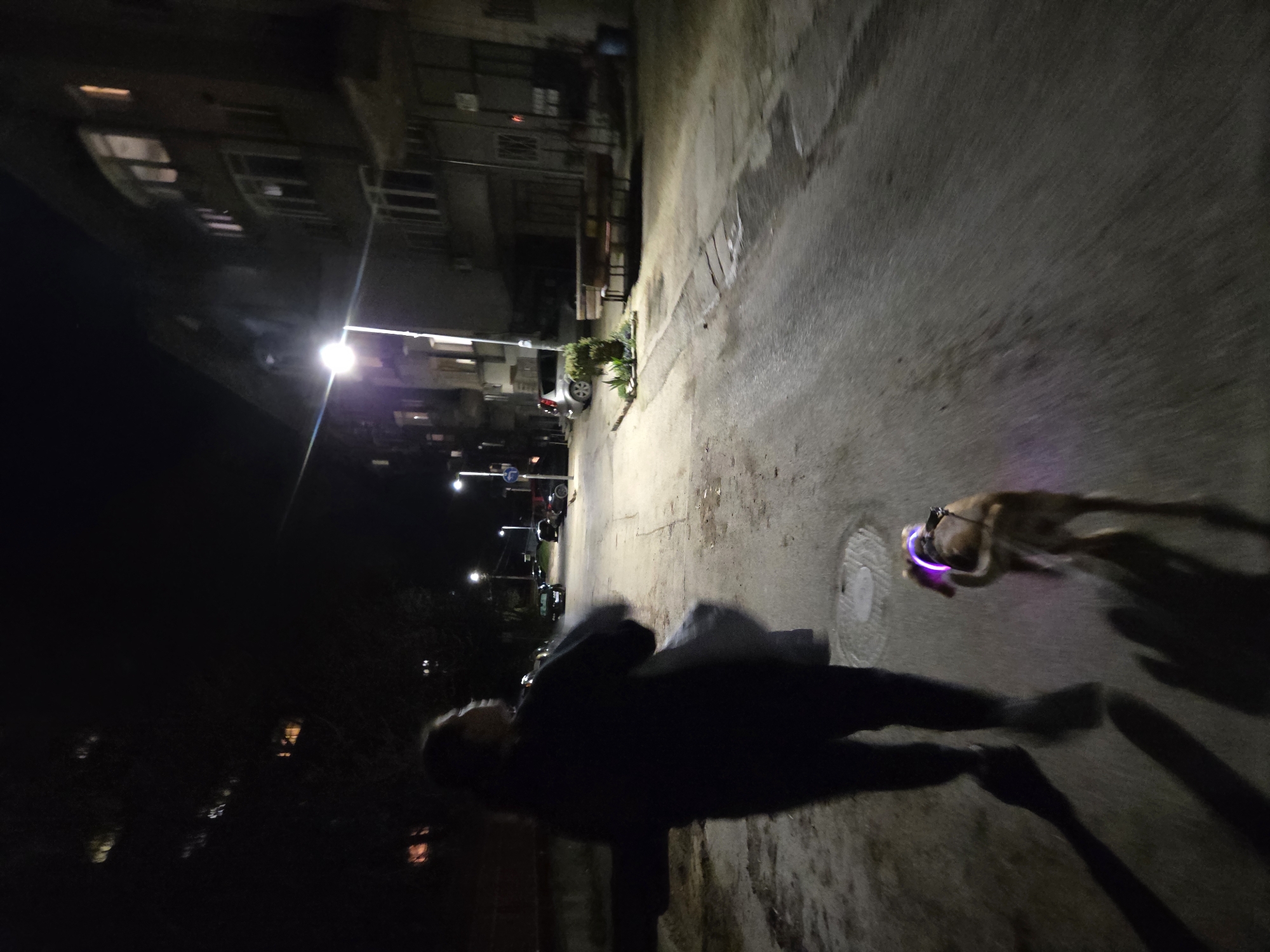 A blurry, low-light nighttime photograph shows a person walking a dog on a street in what appears to be a residential area. The person is silhouetted, but appears to be wearing dark clothing and walking forward. The dog, which has a light-up collar, is moving quickly with the person. The road is paved, and buildings are visible on the left. Streetlights illuminate the area. Based on the building styles, road surfaces and lighting, the location is Pleven, Bulgaria.