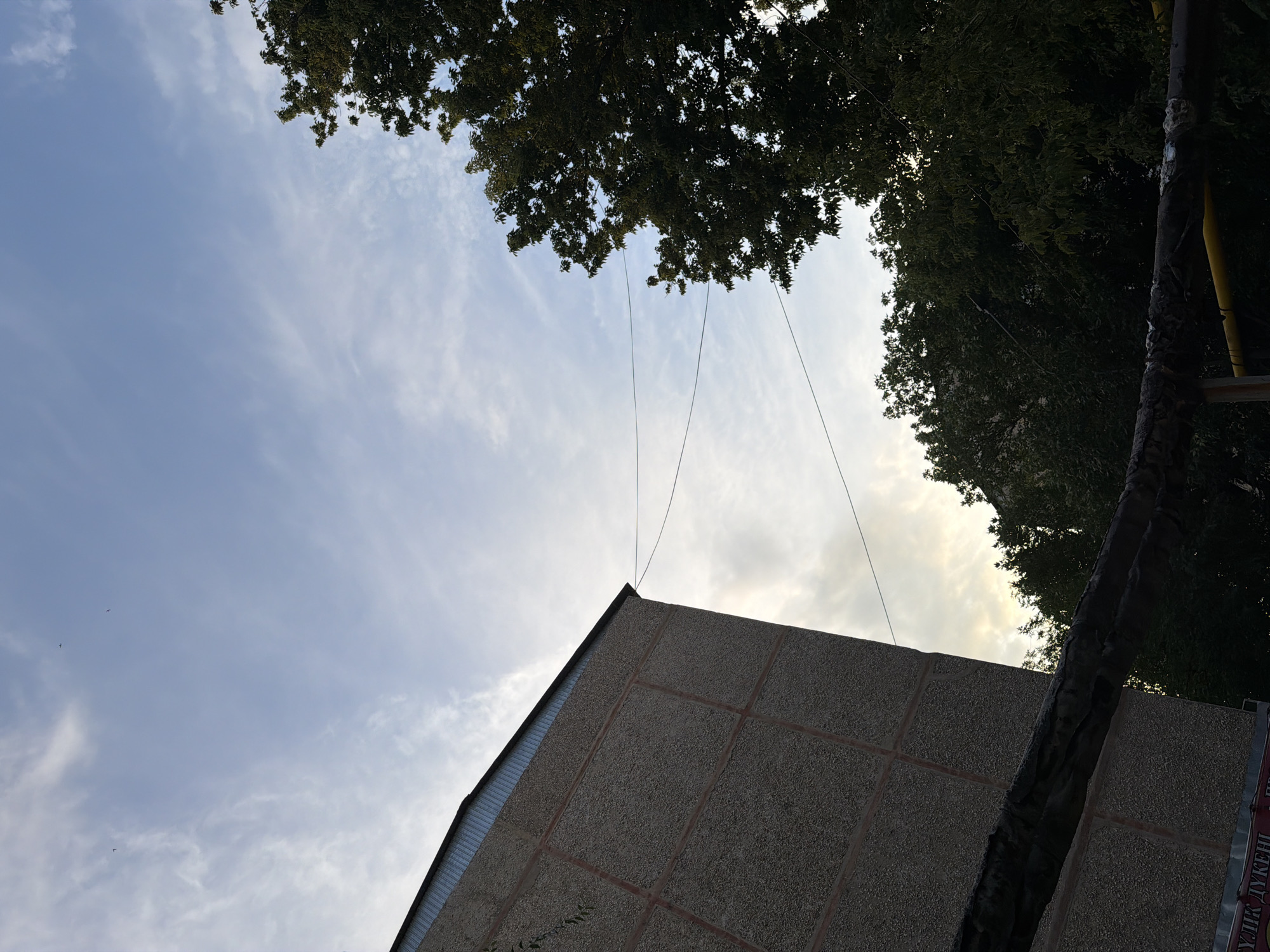The image shows an outdoor scene with a concrete building on the left and trees on the right, under a partly cloudy sky. The building appears to be a multi-story structure with a textured, light-colored facade, divided by horizontal and vertical bands of a darker material. A metal roofline is visible at the top. Two thin wires are stretched horizontally across the frame, one above the other. Dark green foliage from trees fills the right side of the image and a portion of the lower half. In the foreground, a thick, dark, possibly insulated pipe runs horizontally across the bottom of the frame. The sky is a pale blue with scattered white clouds, and there are a few small, dark specks that could be birds or insects. The lighting suggests it is either early morning or late afternoon. No people are visible in the image. The scene is likely located in an urban or suburban area of Shymkent, Kazakhstan, given the style of the building and the presence of utility lines and vegetation typical of the region.