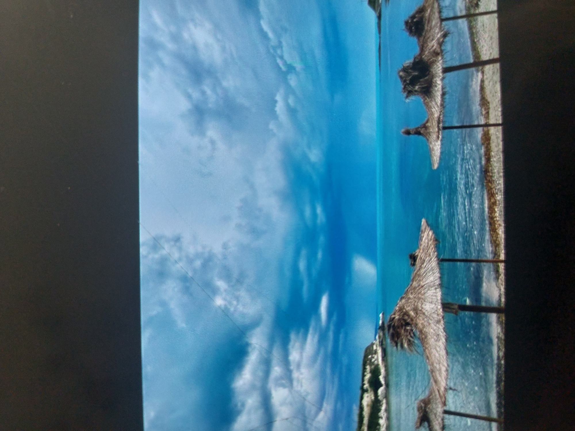 The image shows a beach scene with several thatched umbrellas along the shoreline. The ocean stretches towards the horizon, meeting a cloudy blue sky. The location is likely a beach in Tsarevo, Bulgaria. The beach appears sandy, and vegetation is visible on the left side of the image.