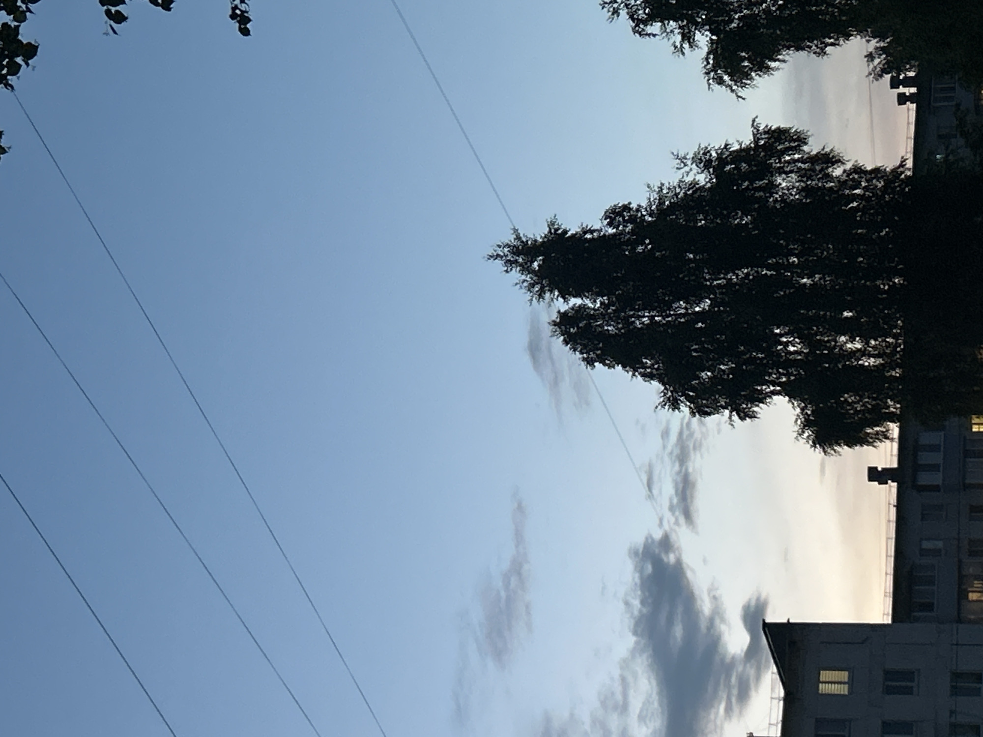 The image depicts a silhouetted view of apartment buildings and trees against a twilight sky. Several power lines stretch across the sky. In the foreground, dark silhouettes of trees with dense foliage are visible. Behind the trees, apartment buildings with visible windows, some illuminated, are silhouetted against the lighter sky. The sky transitions from a pale blue at the top to a warmer hue near the horizon, suggesting either sunrise or sunset. The scene is likely set in Chaikovsky, Russia, given the architectural style of the buildings and the presence of power lines, typical of residential areas in many Russian cities. No people or specific actions are discernible in the image.