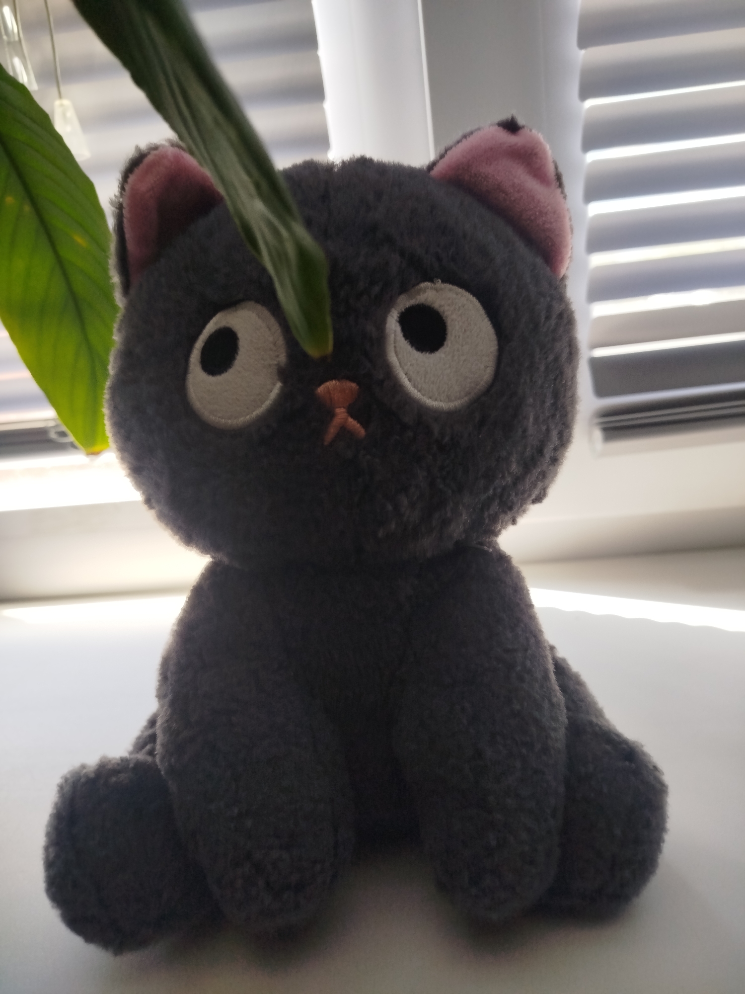 A close-up shot features a dark grey plush cat toy sitting on a white surface, likely a windowsill. The cat has large, round white eyes with black pupils, giving it a wide-eyed expression. Its ears are tipped with pink, and a small pink "X" forms its nose. A green leaf from an unseen plant hangs over the top of the cat's head, partially obscuring its face.
In the background, white horizontal blinds are visible, suggesting the setting is indoors, near a window. The lighting suggests it might be daytime, with light filtering through the blinds. The overall mood of the image is somewhat whimsical and cute due to the design of the toy. There is no visible text in the image. The scene is static, with the toy simply posed. Given the context of Zhigulyovsk, Russia, the setting is an indoor domestic space.