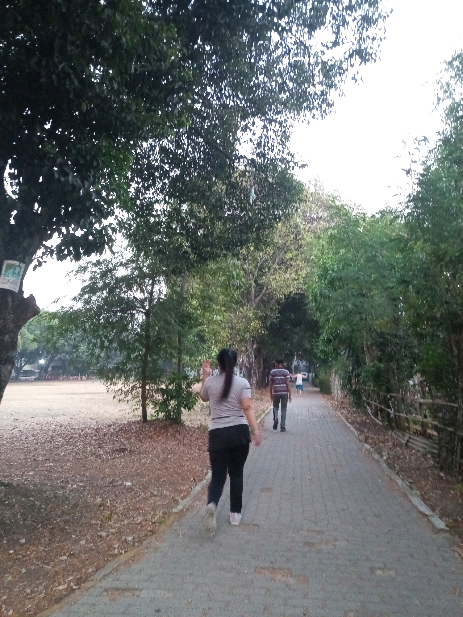 A medium shot captures a paved walkway bordered by trees and vegetation, extending into the distance. On the left, a person with dark hair pulled back in a ponytail, wearing a light-colored t-shirt and black pants, is walking away from the camera, their left arm raised. Further down the walkway, two individuals are also walking away from the camera: one wearing a striped t-shirt and dark pants, and another shorter figure in a light-colored shirt and blue shorts. The ground on the left side of the walkway is covered with dry leaves and dirt. A light-colored field is visible beyond the trees on the far left. The sky is overcast and bright. The scene appears to be an outdoor park or recreational area.