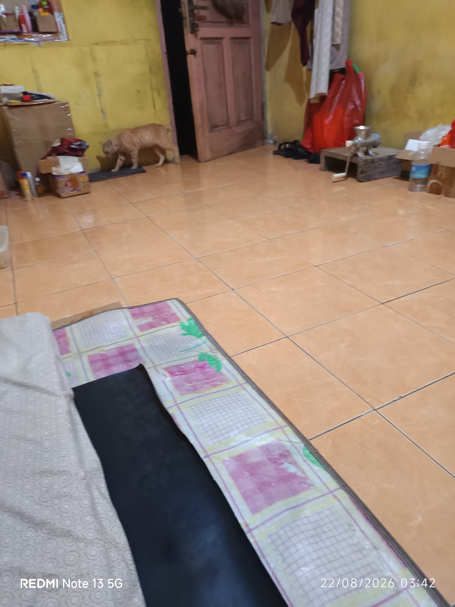 In a room with yellow walls and orange tiled flooring, an orange tabby cat walks across a dark blue mat near a wooden door. In the background, laundry hangs from a rack and a red plastic bag sits beside it. A meat grinder is on a wooden block. In the foreground, a mattress with a checkered pattern of pink and white is laid on the floor. The lower left corner of the image shows the text "REDMI Note 13 5G" and the lower right corner shows "22/08/2026 03:42".