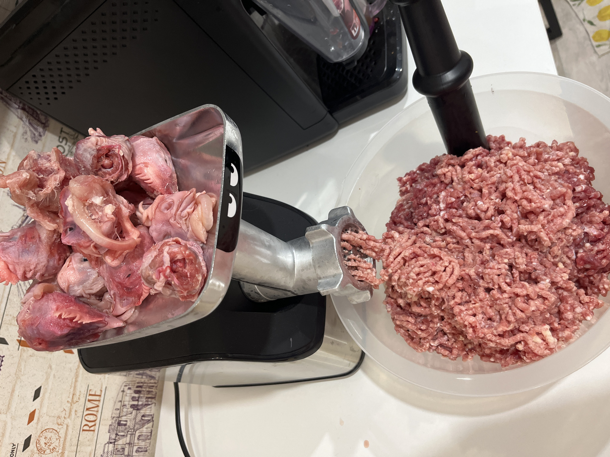 The image shows a close-up of a meat grinder in operation, with raw meat being processed into ground meat in a white plastic bowl. The meat grinder is silver and black, with a metal tray at the top holding several pieces of raw meat, possibly poultry. The ground meat is a pinkish-red color and has a coarse texture. The scene appears to be in a kitchen, with a white countertop and a patterned backsplash with the word "ROME" visible. There are no people or animals visible in the image. The location of Chaikovsky, Russia is not discernible from the image itself, as there are no identifying markers or landmarks associated with that specific city.