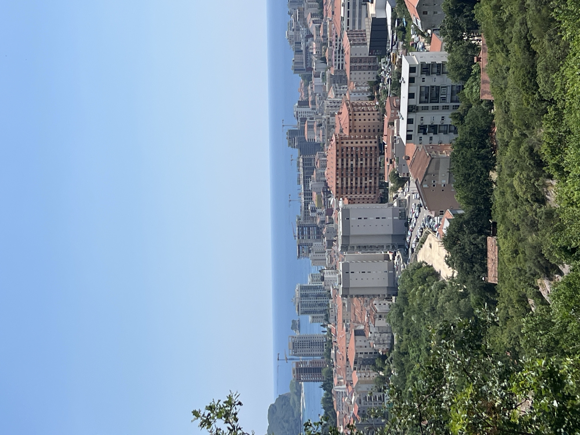 The image shows a panoramic view of the city of Budva, Montenegro, on a clear day. The foreground is dominated by lush green trees and foliage. In the mid-ground, the city sprawls with numerous buildings of varying heights and architectural styles, characterized by red-tiled roofs and modern high-rise structures. A distinct cluster of taller buildings, some under construction with visible cranes, are situated closer to the coast. The background features a tranquil blue sea meeting the horizon under a clear, bright blue sky. The overall scene depicts a coastal urban landscape with a mix of residential and possibly commercial buildings, set against a backdrop of natural beauty.