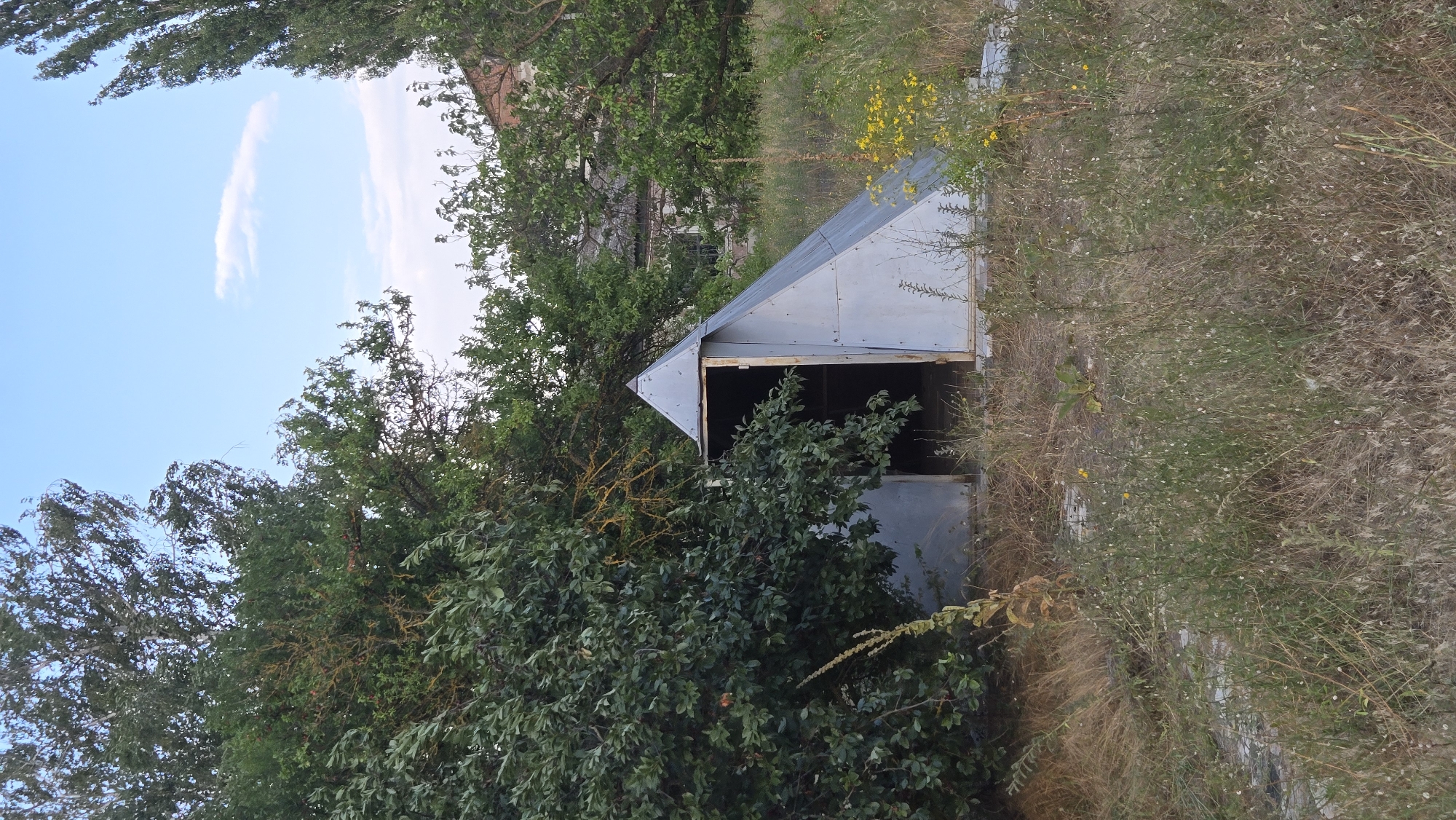 The image depicts an outdoor scene with a small, triangular metal structure in the foreground. The structure has an open entrance and appears to be made of corrugated metal panels. It is situated amidst overgrown vegetation, including tall grass, weeds, and bushes. In the background, there are trees and a building with windows. The sky above is a clear blue with a few scattered white clouds. The overall impression is one of an unkempt, possibly abandoned area, possibly in Pervomaisk, Moldova, given the context. There are no people or animals visible in the image. The lighting suggests it is daytime, likely late afternoon given the soft light.