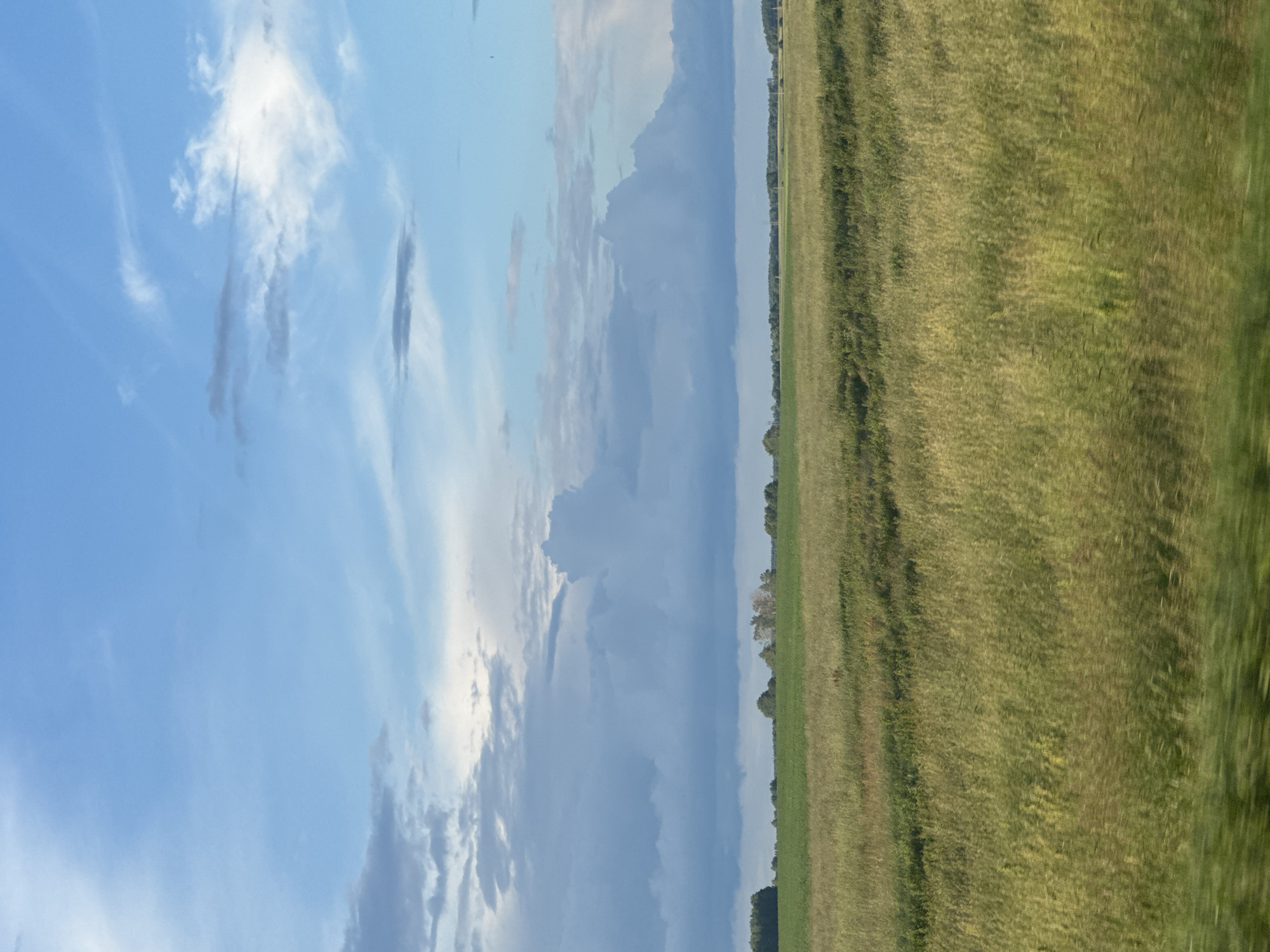 This is a medium-shot, eye-level, landscape photograph taken from a moving vehicle in the vicinity of Акцябрскі сельскі Савет, Belarus. The image depicts a vast, flat field of tall, golden-green grass, with a darker green strip of vegetation running horizontally across the mid-ground. In the far distance, a treeline forms a dark horizontal band, dotted with scattered structures and trees. Above the horizon, a dramatic sky dominates the frame, filled with large, billowing, grey and white clouds against a bright blue sky. The overall impression is one of a rural, open landscape under a dynamic sky.