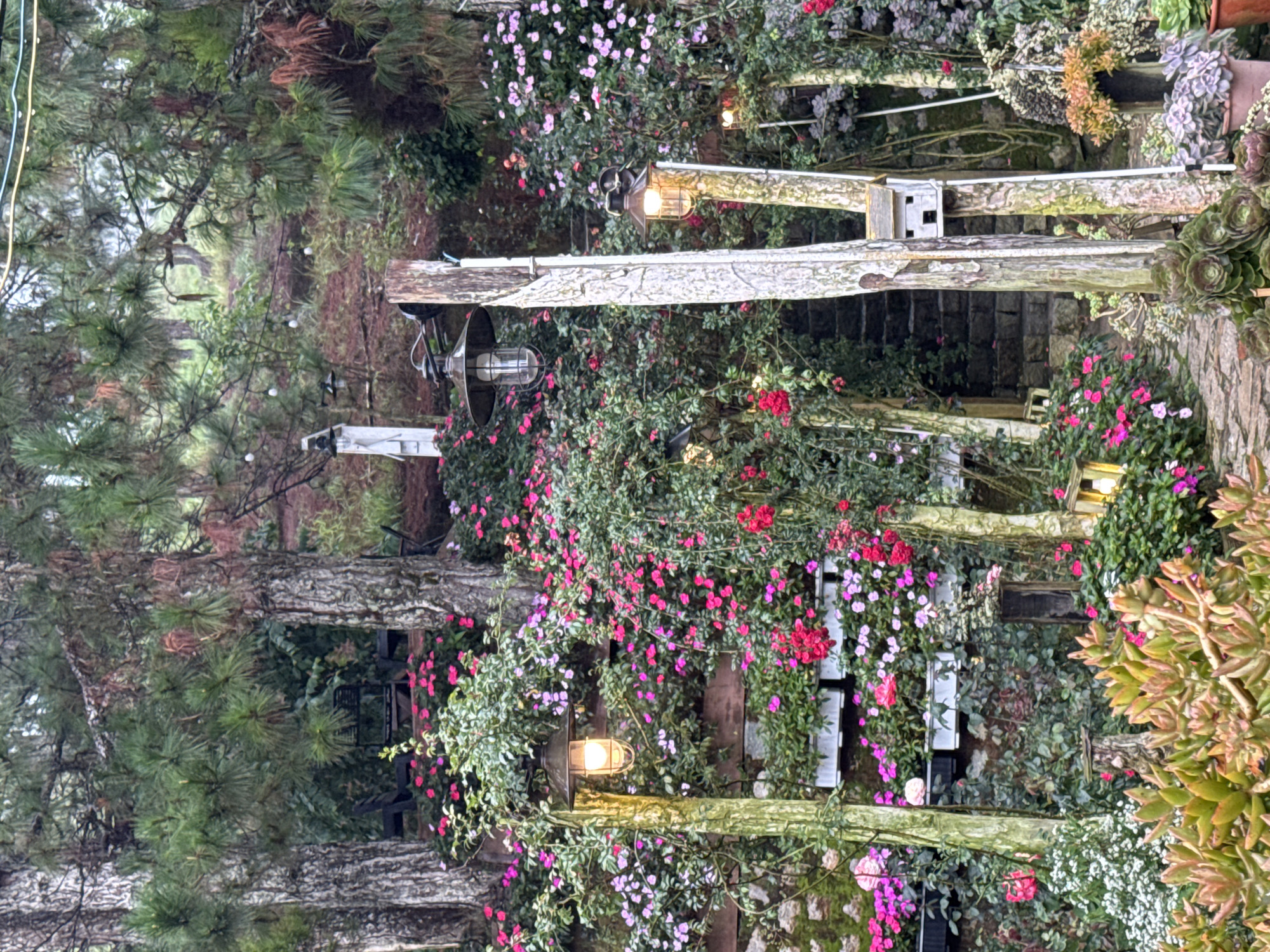 The image depicts a verdant hillside garden with abundant flowering plants and trees. Several rustic lampposts illuminate pathways and floral arrangements, suggesting an outdoor seating area or a tranquil retreat. Stone steps ascend the hillside, bordered by lush greenery and colorful blossoms, indicating a carefully curated landscape. A small birdhouse is mounted on a wooden post. The overall ambiance suggests a peaceful, natural setting, possibly a cafe or a residential garden in Lộc Quý, Vietnam, designed to enhance the appreciation of nature.