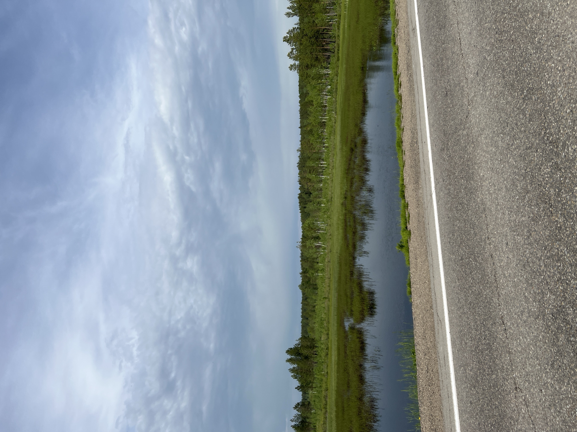 A paved road with a white line runs horizontally across the lower part of the frame. Beyond the road is a body of dark water reflecting the sky and surrounding vegetation. The water is bordered by tall, green grass and reeds. Further back, a dense forest of trees, including birch and pine, stretches across the horizon. The sky above is overcast with soft, grey clouds. The scene appears to be a natural landscape, possibly near a body of water in Burdakovka, Russia. There are no people or animals visible in the image.