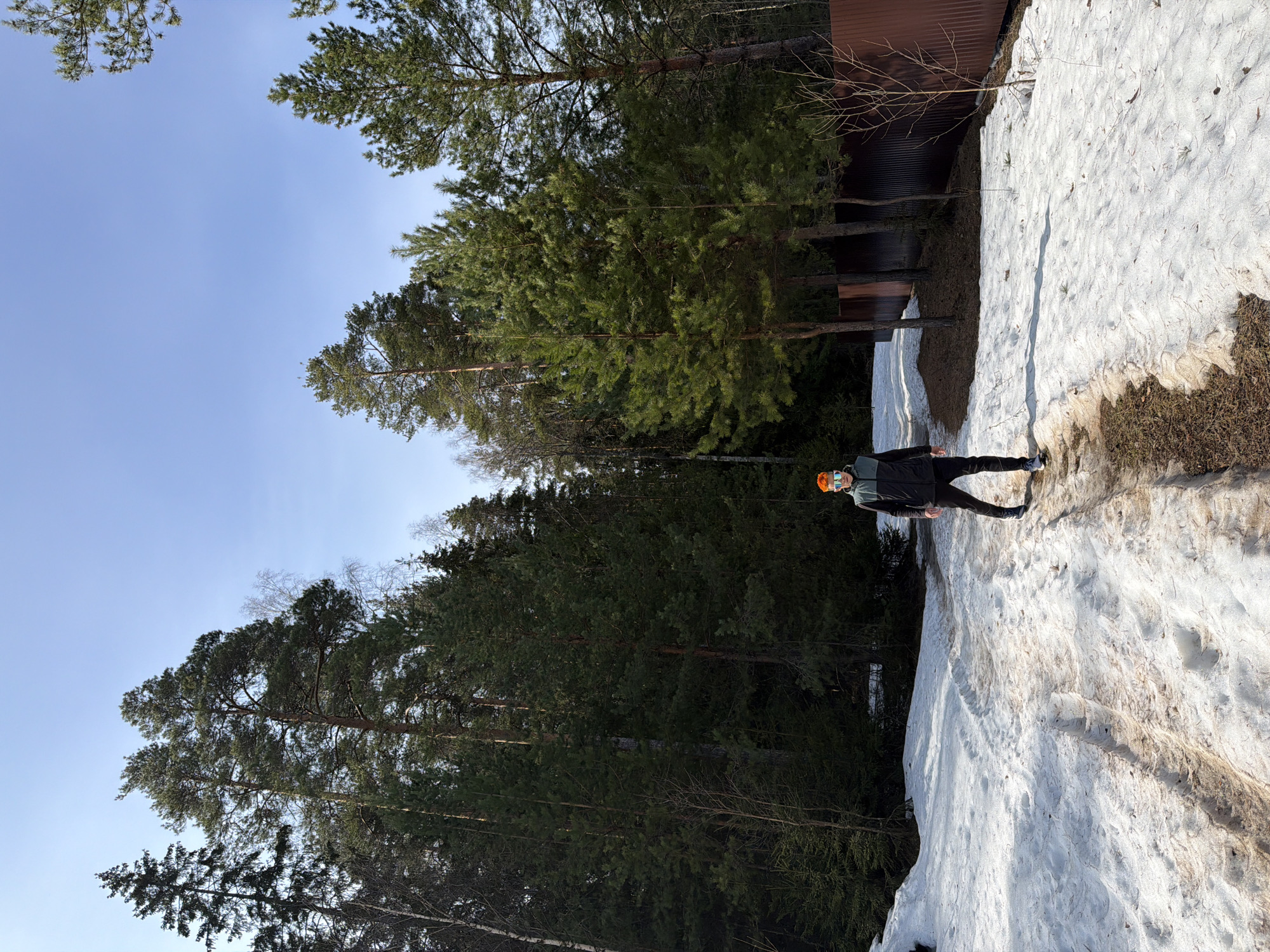 The photo shows a person standing on a snow-covered path in a wooded area. The location is likely near Chaikovsky, Russia. The person is wearing a dark jacket, dark pants, and orange goggles. There is a metal building to the upper right of the image. Pine trees dominate the background, with a clear blue sky visible above. Patches of bare earth are visible where the snow has melted.
