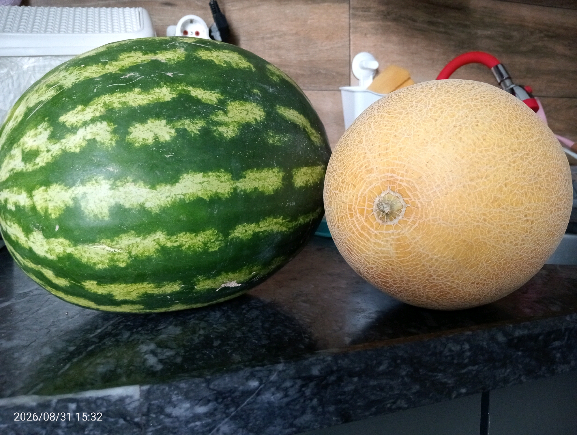 Two melons, a watermelon and a cantaloupe, rest on a dark, speckled countertop. The watermelon, on the left, is large and round with dark green stripes alternating with lighter green. The cantaloupe, on the right, is smaller and oval-shaped with a textured, netted rind that is light orange in color. In the background, a white container and a red hose are visible against a wooden-tiled wall. The image is dated 2026/08/31 15:32. The location is Silifke, Turkey.