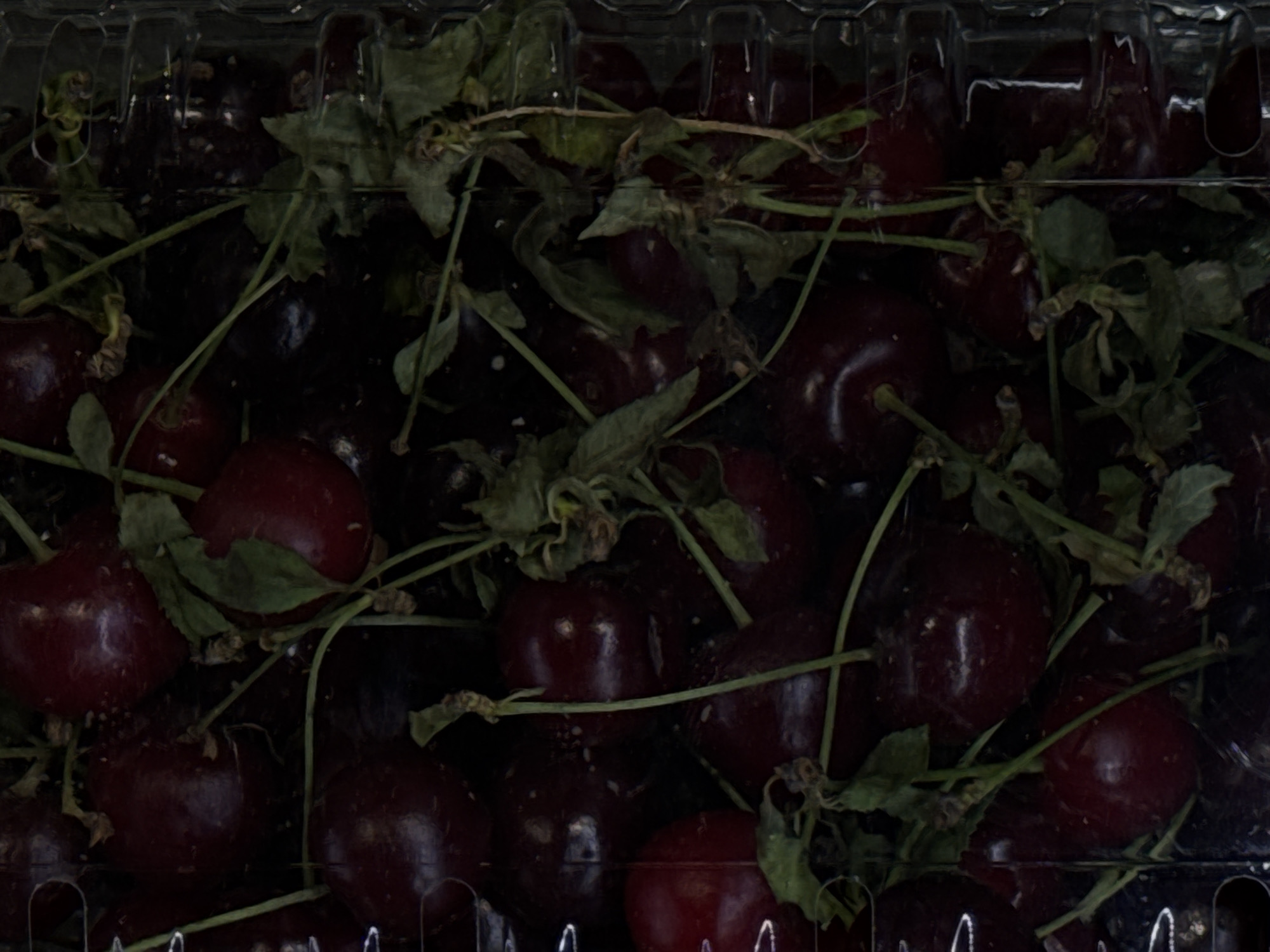 The image shows a close-up, overhead view of a plastic container filled with dark red cherries. The cherries are clustered together, with some green stems and withered leaves visible amongst them. The container itself appears to be made of clear plastic and has a ribbed texture. The lighting is dim, creating deep shadows that obscure some of the details. There is no indication of the location in Moscow, Russia, or any other identifying details about the scene.