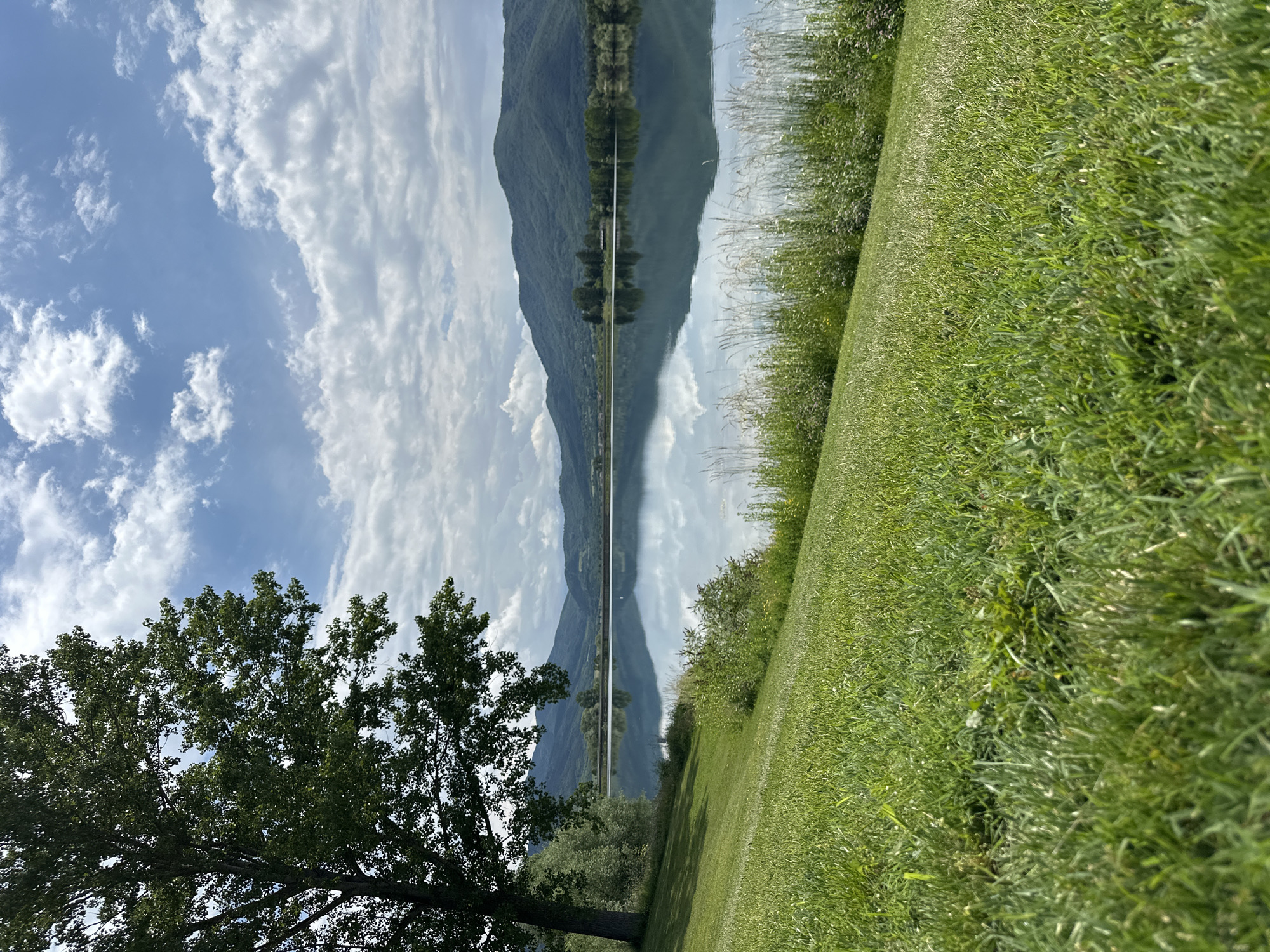 A serene natural landscape, captured in Razliv, Bulgaria, is depicted, showing a tranquil body of water that perfectly mirrors the sky and distant mountains. The image is oriented vertically (90 degrees clockwise from standard landscape), but described here as if correctly rotated.
In the foreground, on the left side, a large, leafy tree with dense green foliage occupies the lower portion, its branches extending upwards and across the frame. Adjacent to the tree, lush green grass covers the ground, stretching towards the water's edge. Some taller reeds or wild grasses grow closer to the water on the right side of the grassy bank.
The middle ground is dominated by a calm body of water, likely a lake or river, which stretches horizontally across the scene. This water acts as a flawless mirror, reflecting the blue sky, scattered white clouds, and the distant mountain range with remarkable clarity, creating a striking symmetrical effect. A faint line of trees or vegetation can be seen along the far bank of the water.
In the background, on the right side of the water, a large, dark green mountain or hill range rises, its slopes appearing densely forested. Above the mountains, a bright blue sky is filled with various white clouds, ranging from wispy cirrus to more substantial cumulus formations.
The scene conveys a sense of peacefulness and natural beauty. It appears to be daytime, likely late morning or early afternoon, under clear weather conditions with scattered clouds and minimal wind, given the still water. No people, animals, or man-made objects are visible, nor is there any discernible activity or text.