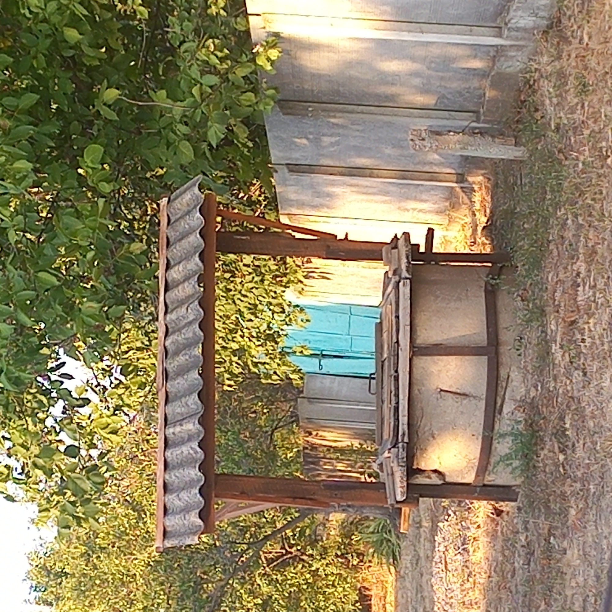 The image depicts an outdoor scene with a well in the foreground. The well has a concrete base reinforced with metal bands and a wooden frame supporting a ridged roof made of what appears to be slate or corrugated metal. A wooden lid covers the well opening. Behind the well, a turquoise-colored door with a metal handle is visible. To the right of the well is a concrete fence. Trees with green foliage are present in the background, with sunlight illuminating parts of the scene, creating shadows. The ground is covered with dry grass and fallen leaves. There are no people or animals visible in the image. The context of Klyntsi, Ukraine is not inferable from the visual information presented in the image itself.