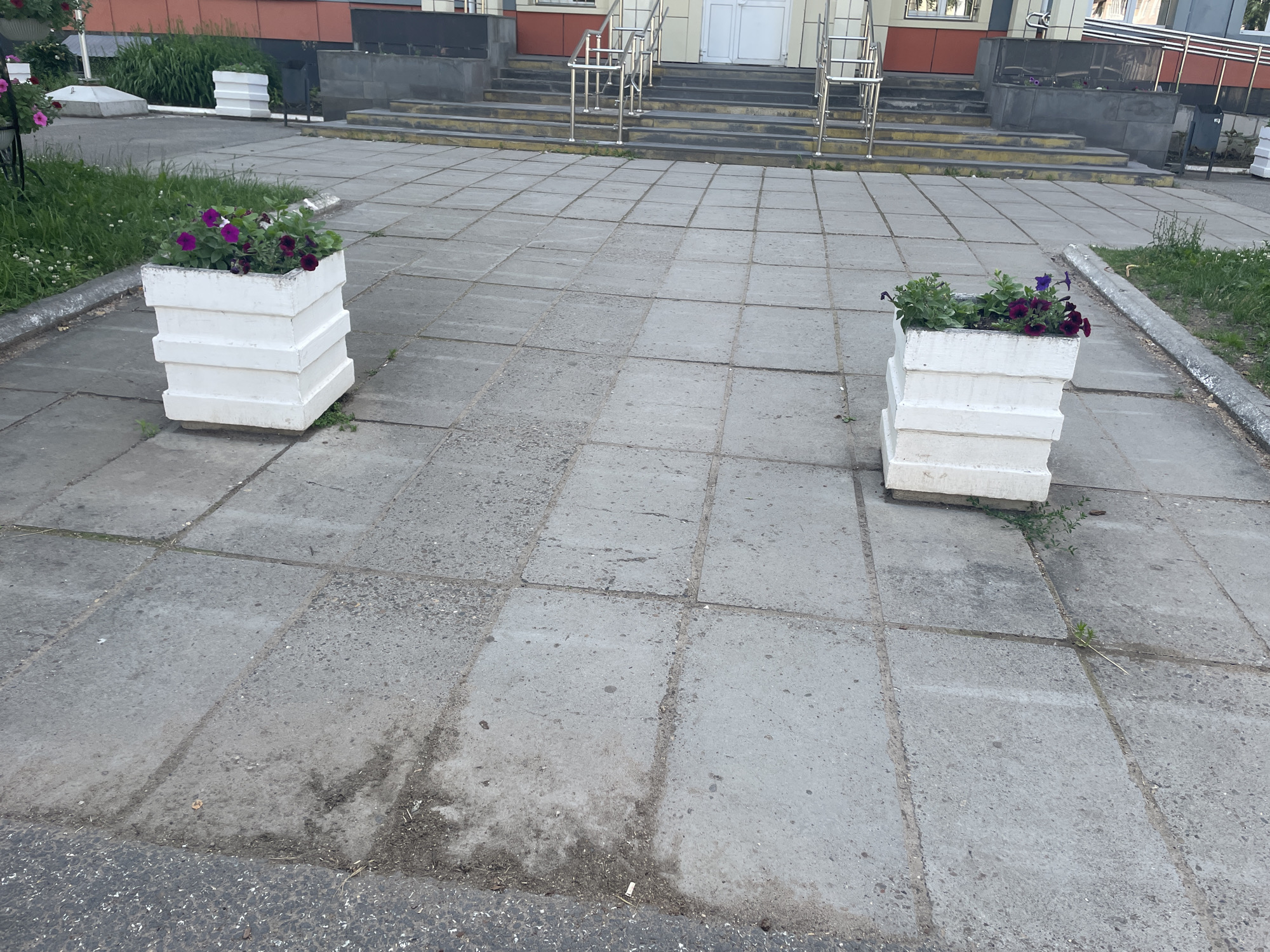 This is a photograph of an outdoor scene with two white, tiered planters filled with dark purple and pink petunias. The planters are positioned on a grey, tiled walkway in front of a building. The building has a red and grey facade with large windows and a set of stairs leading up to an entrance. Silver railings are present on the stairs. Green grass and some small white flowers are visible to the left of the walkway. The scene appears to be set during the daytime, under overcast conditions. The location is identified as Chaikovsky, Russia. There is no visible text in the image.