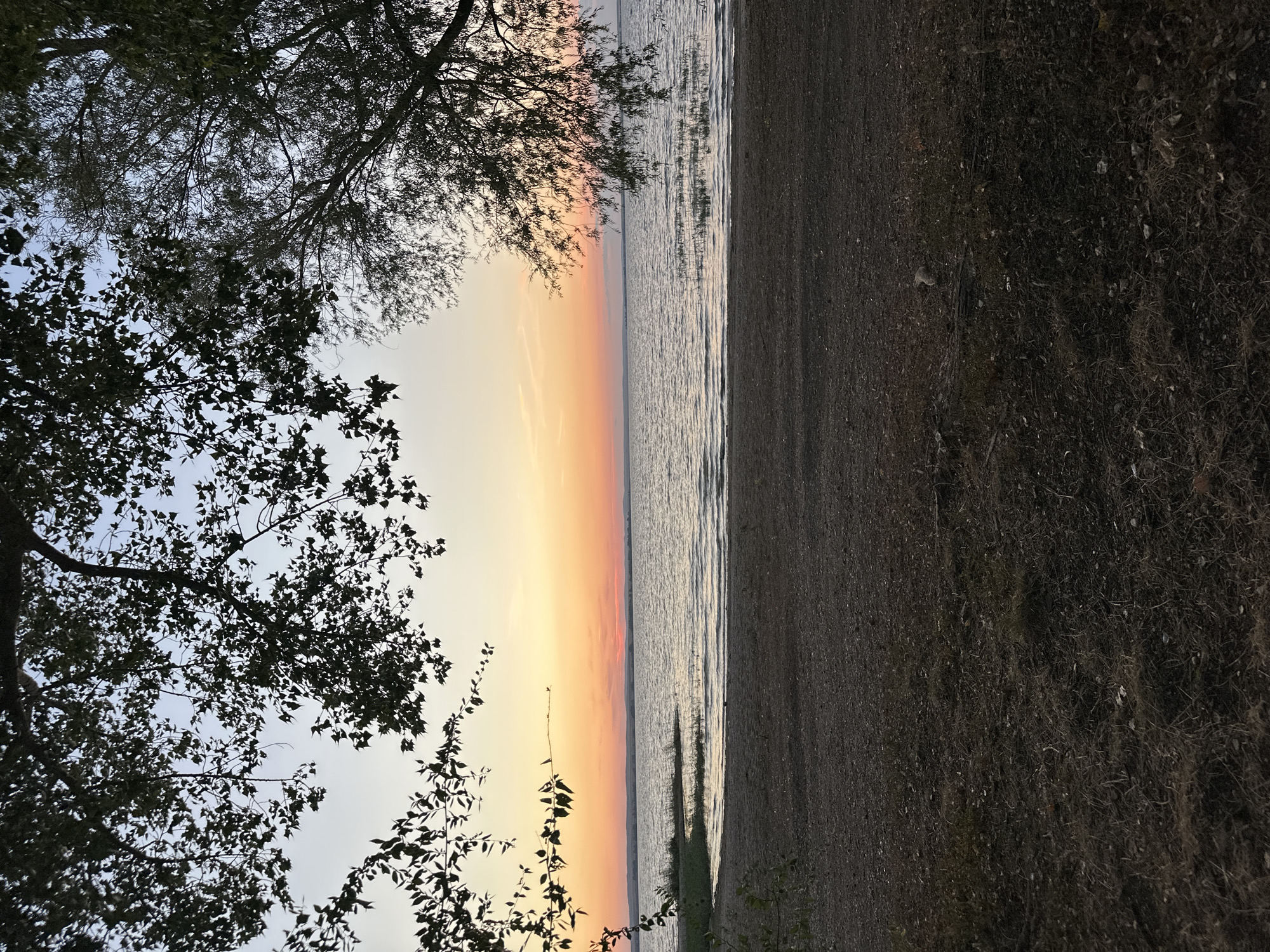A scenic view of a body of water during sunset, framed by tree branches. The sky displays a gradient of colors from light blue to orange and pink near the horizon, where a distant shoreline is visible. The water is calm with gentle ripples. In the foreground, a dark, textured beach area is visible, with sparse vegetation. The scene is likely outdoors and depicts a natural environment. The location is the city of Energetik, Russia, specifically on the shore of Lake Baikal, a location renowned for its natural beauty and picturesque sunsets.
