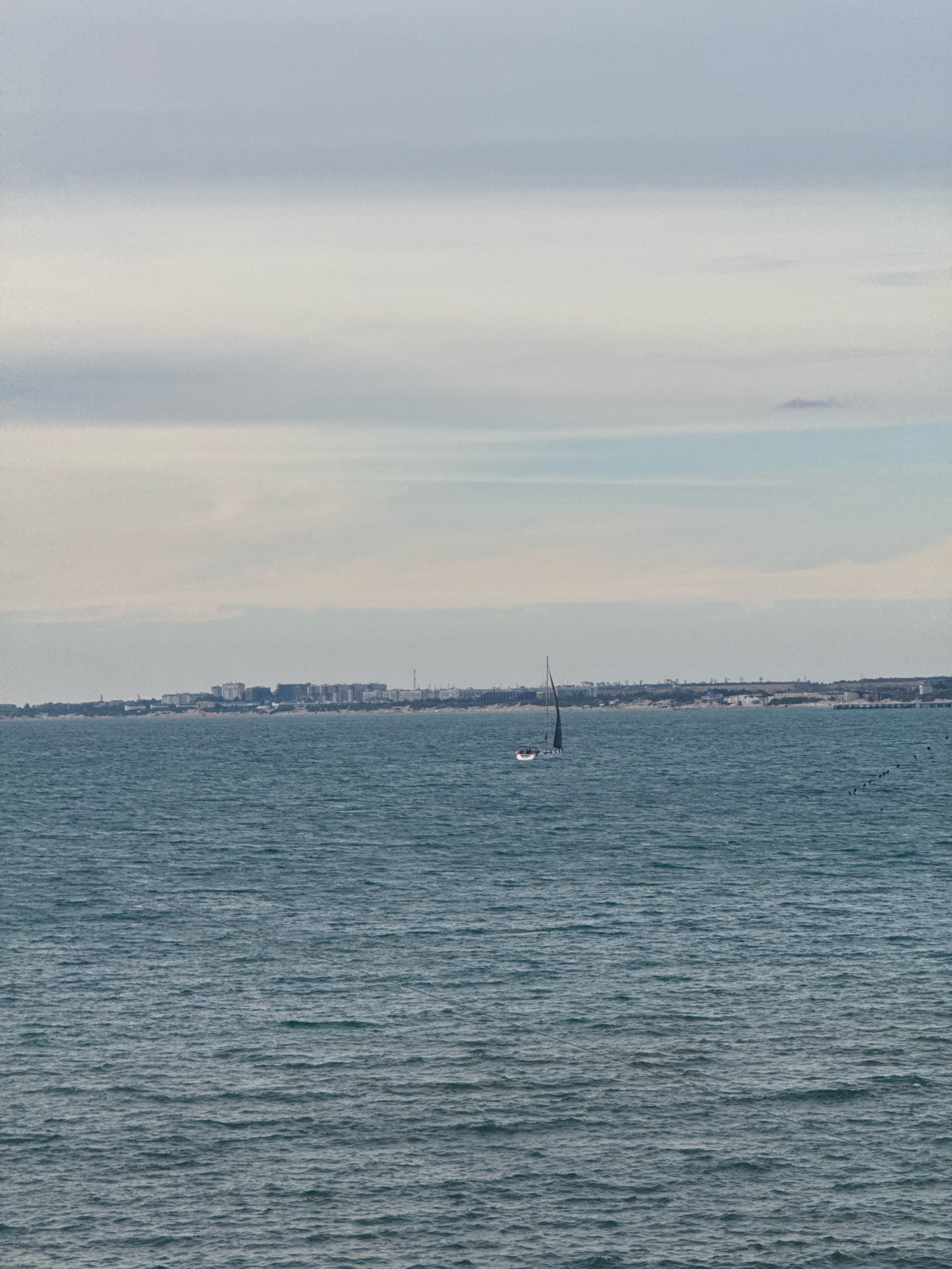 The image depicts a coastal scene with a body of water in the foreground and a city skyline in the distance. A single sailboat with a dark sail is visible on the water, positioned towards the left side of the frame. The water is choppy, with visible waves. In the background, a city with numerous buildings is spread across the horizon. The sky above is overcast with soft, layered clouds. A flock of birds is scattered across the water in the far right of the image. The overall impression is one of a somewhat hazy, cool day. This scene is likely the coast of Anapa, Russia, a resort city on the Black Sea.