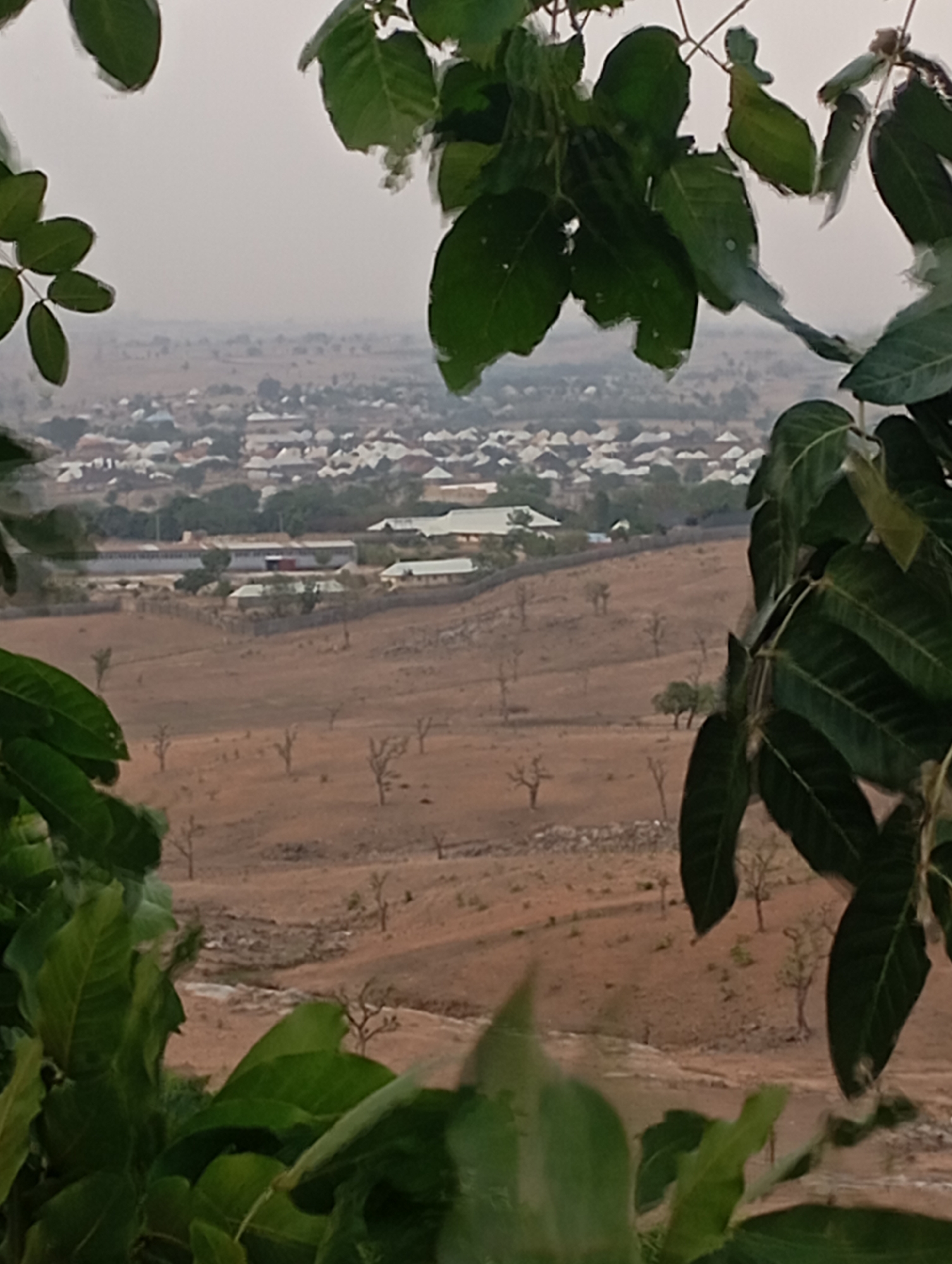An elevated view of Uke, Nigeria, reveals a cluster of closely packed dwellings, predominantly white-roofed structures, nestled within the landscape. These buildings form a distinct settlement against the backdrop of arid terrain. The foreground is dominated by lush green foliage, including tree branches and leaves, that frame the scene. The overall tone of the photograph is somewhat muted, with a slightly overcast or hazy atmosphere.