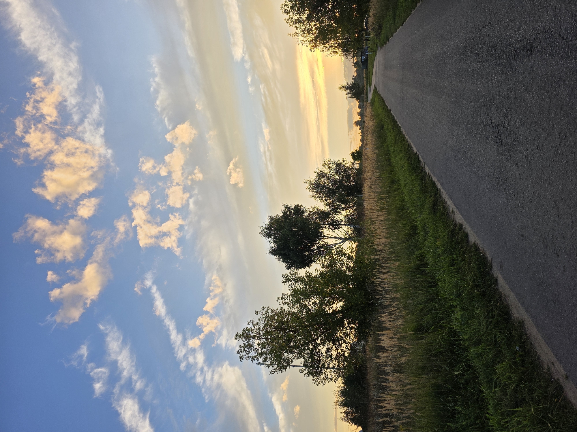 The image depicts a scenic rural road at sunset. A paved road curves into the distance on the right side of the frame, bordered by tall, dry grass and green vegetation. Several trees are scattered along the left side of the road. The sky above is a gradient of blue, with scattered clouds tinged with orange and yellow from the setting sun. In the far distance, along the right side of the road, there are a few structures, possibly small buildings, and what appear to be a few people and vehicles. The overall impression is one of tranquility and natural beauty in a rural setting. It is not possible to determine the location within the city of Rechitsy, Russia from the visual information provided.