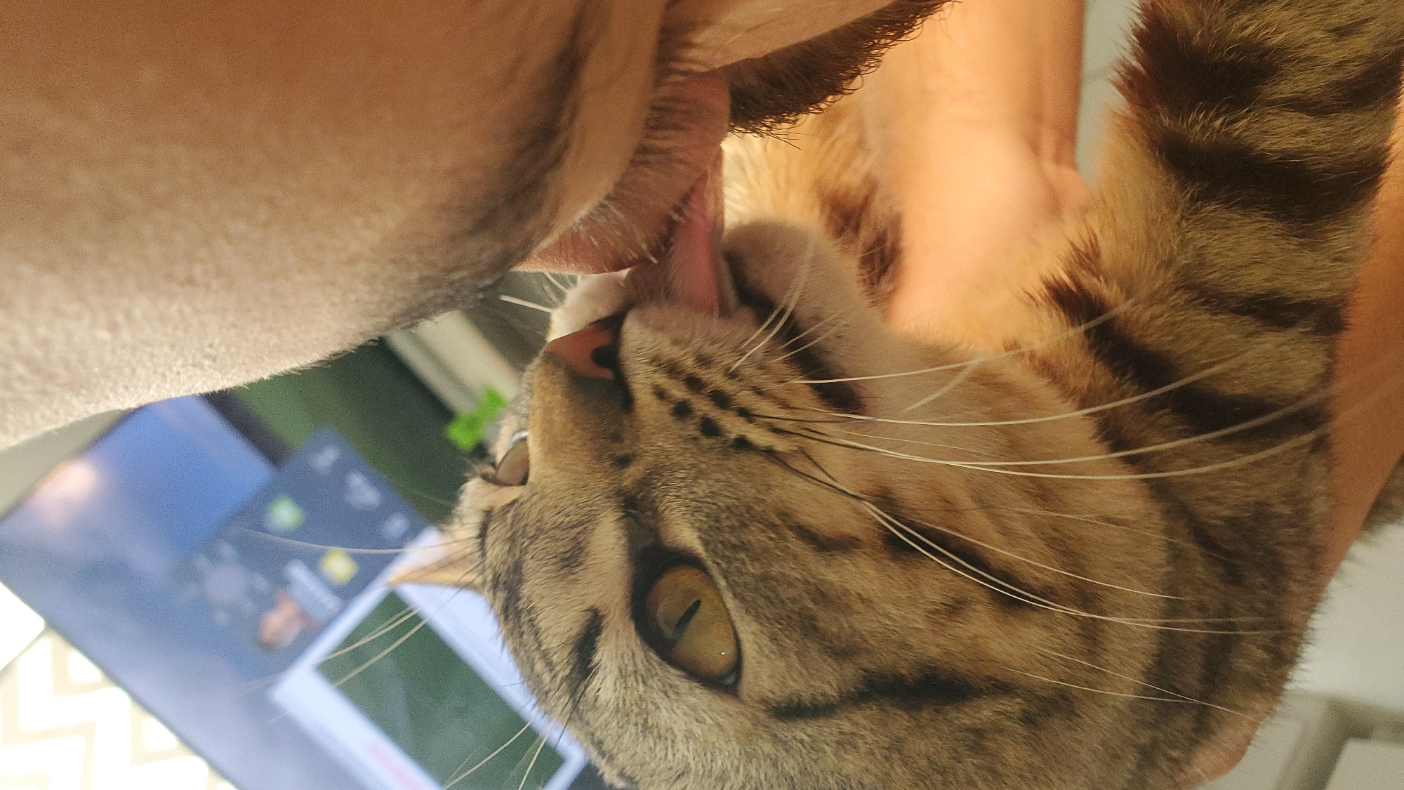 The image displays a close-up, upward-angled view of a domestic tabby cat licking the lower facial region or upper neck of a human in Curitiba, Brazil. The cat, exhibiting brown and grey striped fur, distinctive yellow eyes with vertical pupils, a pink nose, and long white whiskers, has its pink tongue extended onto the human's skin. The visible portion of the human's face presents light-toned skin with stubble or short facial hair. In the blurred background, a television screen is discernible, displaying a graphical user interface with multiple icons, and ambient light originates from the upper left.