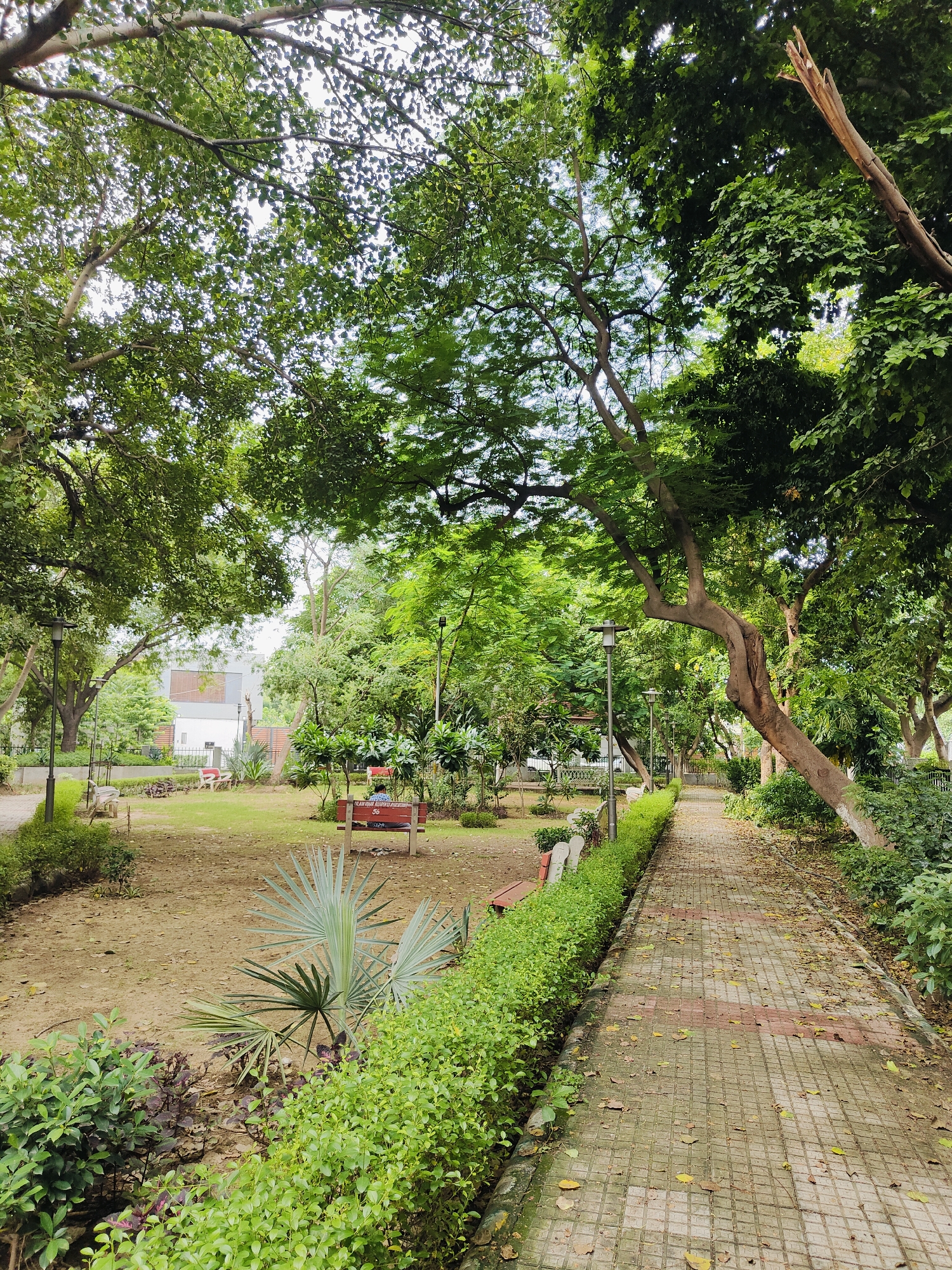 The image depicts a park in Gurgaon, India, characterized by lush greenery and a paved pathway. A person is seated on a red bench on the right side of the pathway, facing away from the camera. The pathway is lined with neatly trimmed hedges, and several trees with dense foliage are visible throughout the park. In the background, a building with a modern architectural design can be seen. The ground in the park is covered with a mix of sand and fallen leaves, suggesting a natural and serene environment. The overall scene conveys a sense of tranquility and urban greenery.