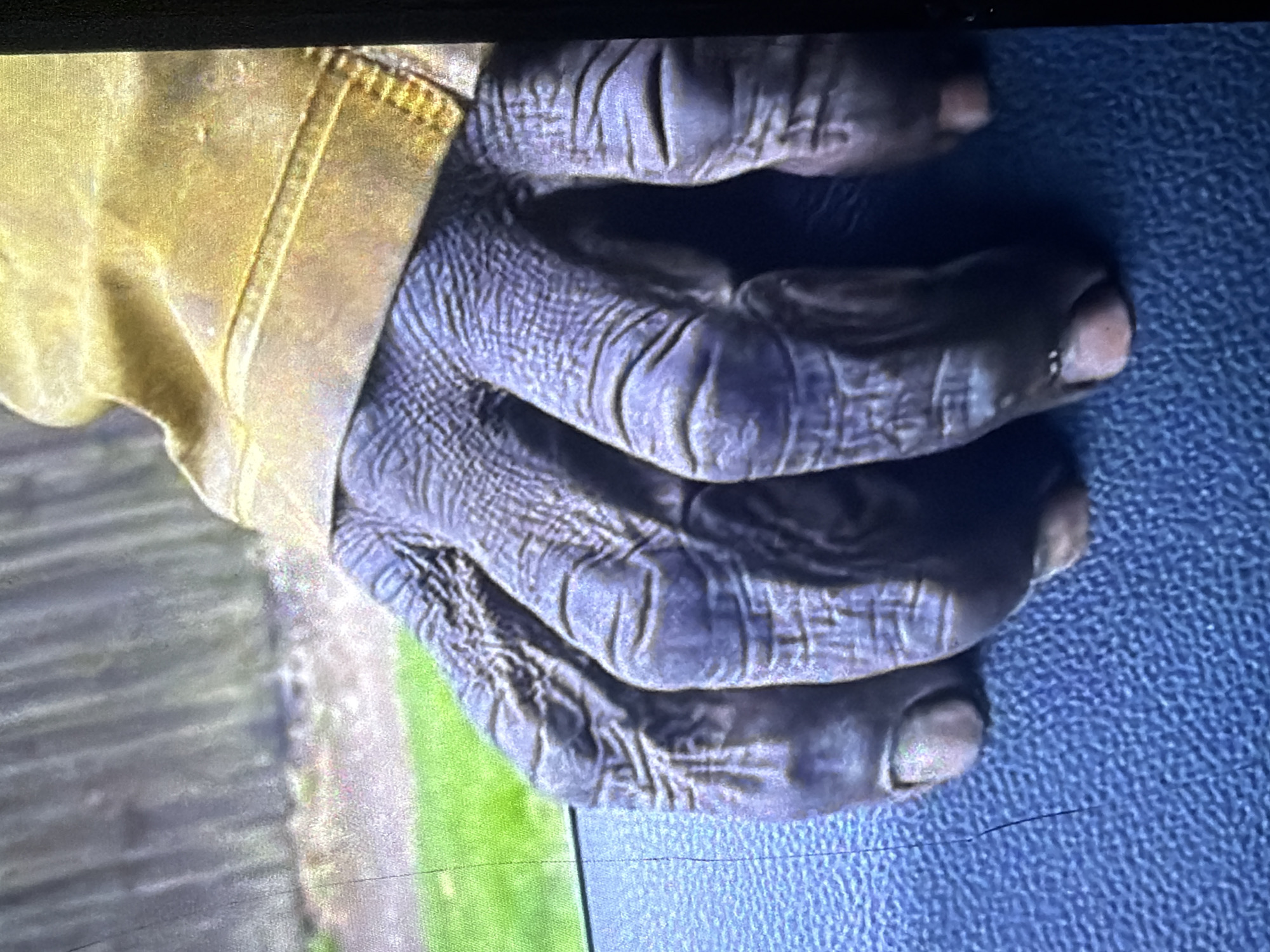A close-up, eye-level shot focuses on the wrinkled, leathery, dark purple hand of what appears to be a chimpanzee, or a similar primate. The hand is partially covered by a tan, coarse-textured fabric sleeve or garment, possibly a jacket or glove. The fingers are splayed, and the knuckles and creases of the skin are clearly visible. The fingertips are rounded and show traces of what could be dirt or grime. The hand rests on a textured, dark blue surface, possibly the interior of a vehicle. In the blurred background, a green grassy area is visible next to a gray, weathered wooden fence or wall. The image is grainy and has a slight color cast, suggesting it was taken in low light or on a low-quality camera. There is no indication of the location being specifically in Bukuru, Nigeria.