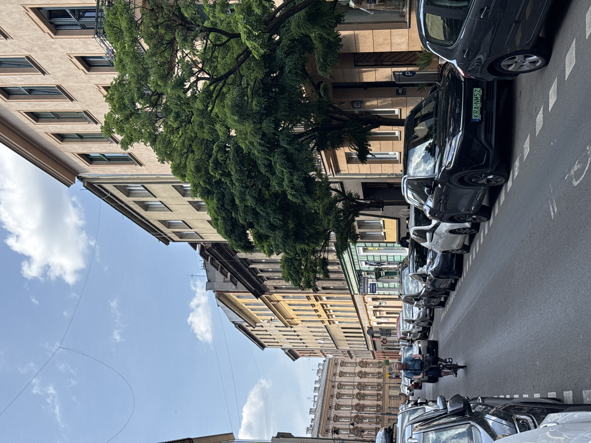 The image depicts a street scene in Krakow, Poland, with a line of parked cars on the right side of the road and a man cycling towards the viewer on the left. The buildings lining the street are multi-story structures with traditional architecture, some painted in pastel colors and others in a lighter beige. Tall, leafy trees are interspersed along the sidewalk, providing shade. The sky is blue with scattered white clouds. The road surface is asphalt, with white markings indicating parking bays. The parked cars are of various makes and models, predominantly dark in color. The cyclist is a middle-aged man wearing a blue t-shirt and shorts, riding a bicycle. A license plate visible on one of the parked cars reads "KRA NM52". The overall impression is of a typical urban street in a European city on a sunny day.