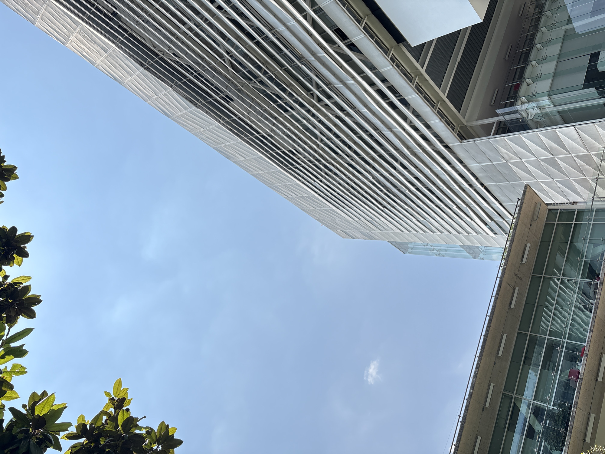 The image presents a view looking upwards, featuring modern architectural elements against a clear blue sky. On the left, leafy branches from a tree partially obscure the view. Dominating the upper portion of the image is a section of a high-rise building, characterized by a series of parallel horizontal metal bars or fins. To the right, a different part of a building shows a mix of concrete and glass panels. The sky occupies a significant portion of the scene.