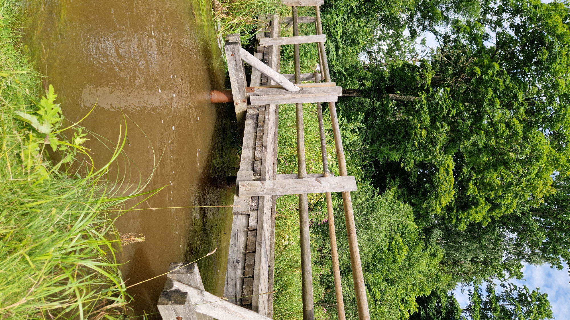 The image shows a wooden bridge crossing a muddy, shallow river in Embūte, Latvia. The bridge is constructed from rough-hewn logs and planks, with a simple wooden railing. Tall green trees and dense foliage form the background, indicating a natural, possibly wooded, environment. The river water is a murky brown, and the banks are lined with grass and reeds. There are no people or animals visible in the scene. The overall impression is one of a rustic, natural setting, possibly a rural or park area.