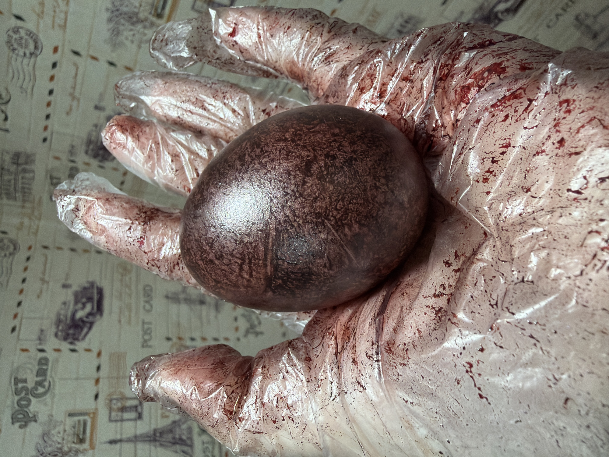 A gloved hand holds a brown egg. The transparent plastic glove is stained with a brown substance. The background is a patterned surface with images of postcards and the Eiffel Tower. The location of Chaikovsky, Russia is not directly indicated in the image.