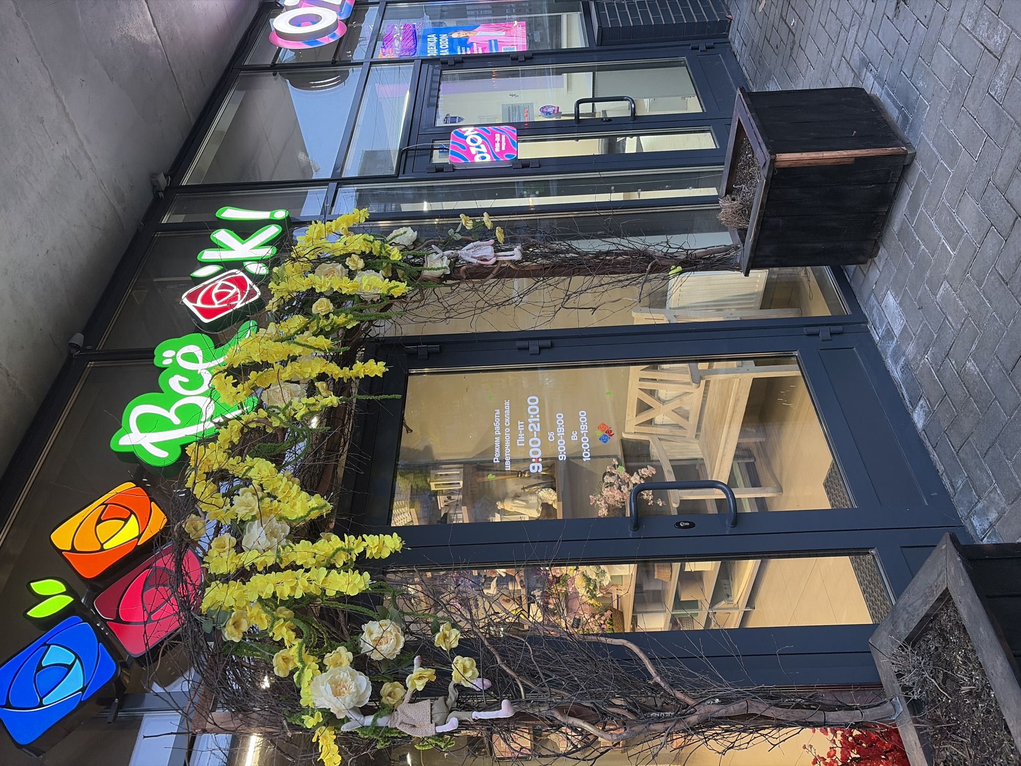 The image presents a ground-level view of two adjacent commercial storefronts located in Izhevsk, Russia, on a paved sidewalk.
The prominent storefront on the left is a flower shop identified by a large illuminated sign displaying "Всё ОК!" (Vse OK!) in green Cyrillic script, with a stylized red rose as part of the logo. Above this, four smaller illuminated logos, each depicting a stylized rose in blue, red, pink, and orange, are affixed to the building facade. The entrance consists of a double glass door with dark grey frames, adorned with an archway of bare branches, yellow wisteria-like artificial flowers, and several white peony-like artificial flowers. Two small, light-colored ragdoll figures, resembling rabbits or hares, hang from the floral archway on either side of the entrance. A white sign affixed to the right door pane displays the "Режим работы цветочного склада" (Flower warehouse operating hours) as "Пн-пт 9:00-21:00", "Сб 9:00-19:00", and "Вс 10:00-18:00". Through the glass doors, shelves with various items, including small decorative objects and a light-colored wooden bench, are visible inside the shop.
To the immediate right of the flower shop is an Ozon parcel pickup point. This storefront features a single glass door with a dark grey frame. An illuminated "OZON" sign is mounted above the door, and a smaller, hanging rectangular sign with the Ozon logo and "10:00-21:00 ежедневно" (daily) is affixed to the door pane. A large poster depicting a woman in a pink suit and text "ОДЕЖДА НА OZON" (CLOTHES ON OZON) is visible through the window to the right of the Ozon door.
The sidewalk in front of the stores is paved with grey interlocking pavers arranged in a herringbone pattern. Two dark, square wooden planters are positioned on the sidewalk; one is partially visible in the lower left foreground, and the other stands to the right of the flower shop's entrance. Both planters contain dry plant matter. The building's exterior above the storefronts features a concrete soffit, and to the far right, dark grey brickwork is visible. No individuals are present in the depicted scene.
