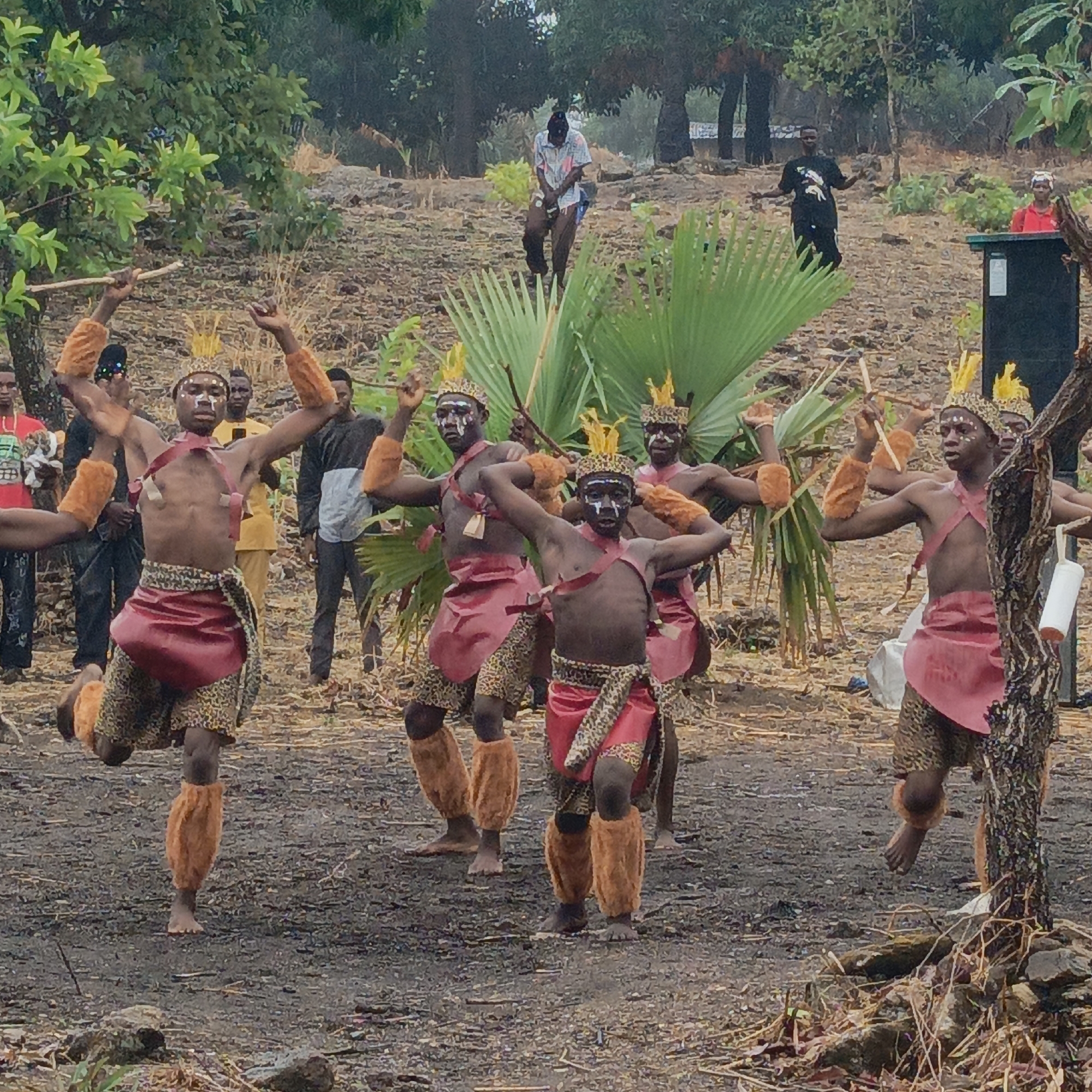 In an outdoor setting in Boher, Nigeria, a group of six African men are engaged in a traditional dance. They are bare-chested and adorn themselves with crowns of yellow feathers. The men are painted with white facial markings. They wear reddish-brown garments tied around their waists and leopard print shorts, and they have light brown fur-like leggings. They are raising their arms and holding sticks in their hands. The ground is damp, and foliage including a palm leaf is visible. In the background, several spectators are observing the dance. A black rectangular object, possibly a speaker, can also be seen.