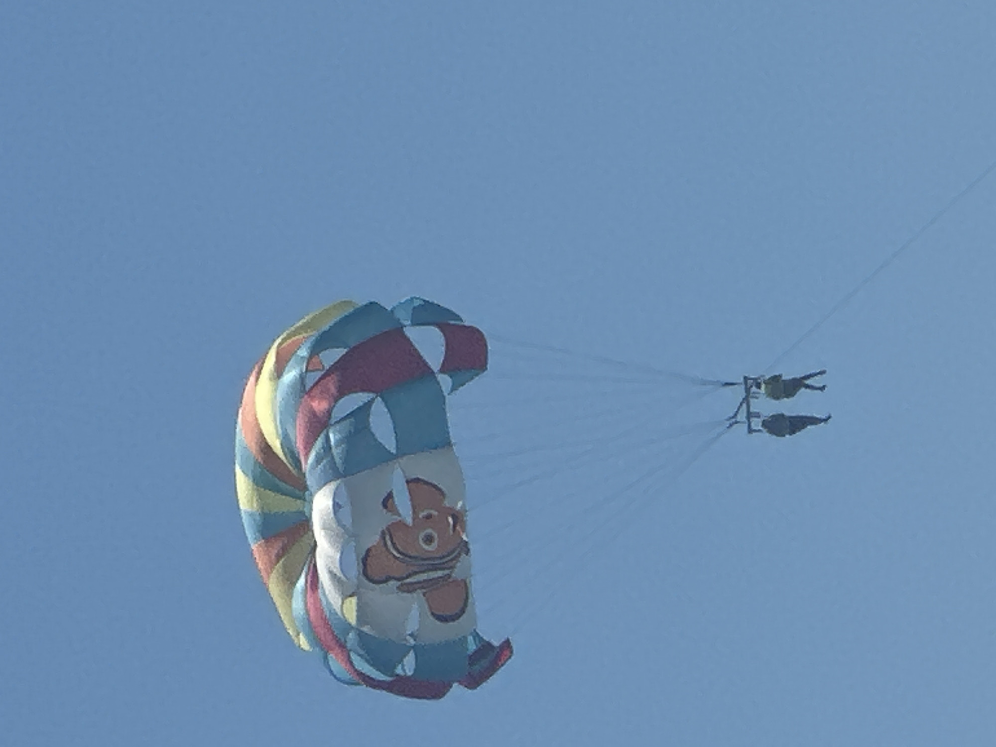In the clear blue sky above Boreti, Montenegro, two individuals are parasailing. A large, colorful parachute, adorned with a cartoon fish character resembling Nemo, billows above them. The parachute is a vibrant mix of red, yellow, blue, and white segments. Suspended beneath the parachute, a harness holds two figures, appearing as dark silhouettes against the bright sky. They are positioned side-by-side, facing forward. Thin ropes extend from the harness to the parachute, supporting their ascent. The overall scene depicts a recreational activity in an open, outdoor environment.