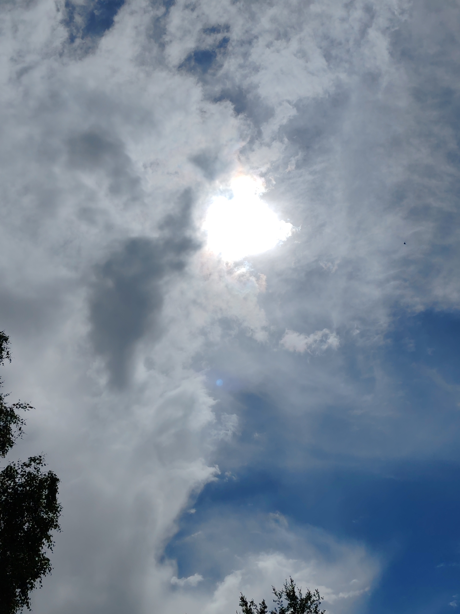 This is a photograph taken outdoors looking up at a sky filled with clouds. The sun is visible through a break in the clouds, appearing as a bright, blown-out area. There is a dark, elongated cloud formation in the center of the image that resembles a silhouette or a distorted human figure. The sky transitions from a bright, sunlit area to darker blue hues towards the bottom. In the bottom left and bottom right corners, the dark silhouettes of tree branches are visible. A small dark bird is also visible in the upper right quadrant of the sky. The image does not contain any people, actions, or interactions. The location is identified as Чухлэм, Russia.