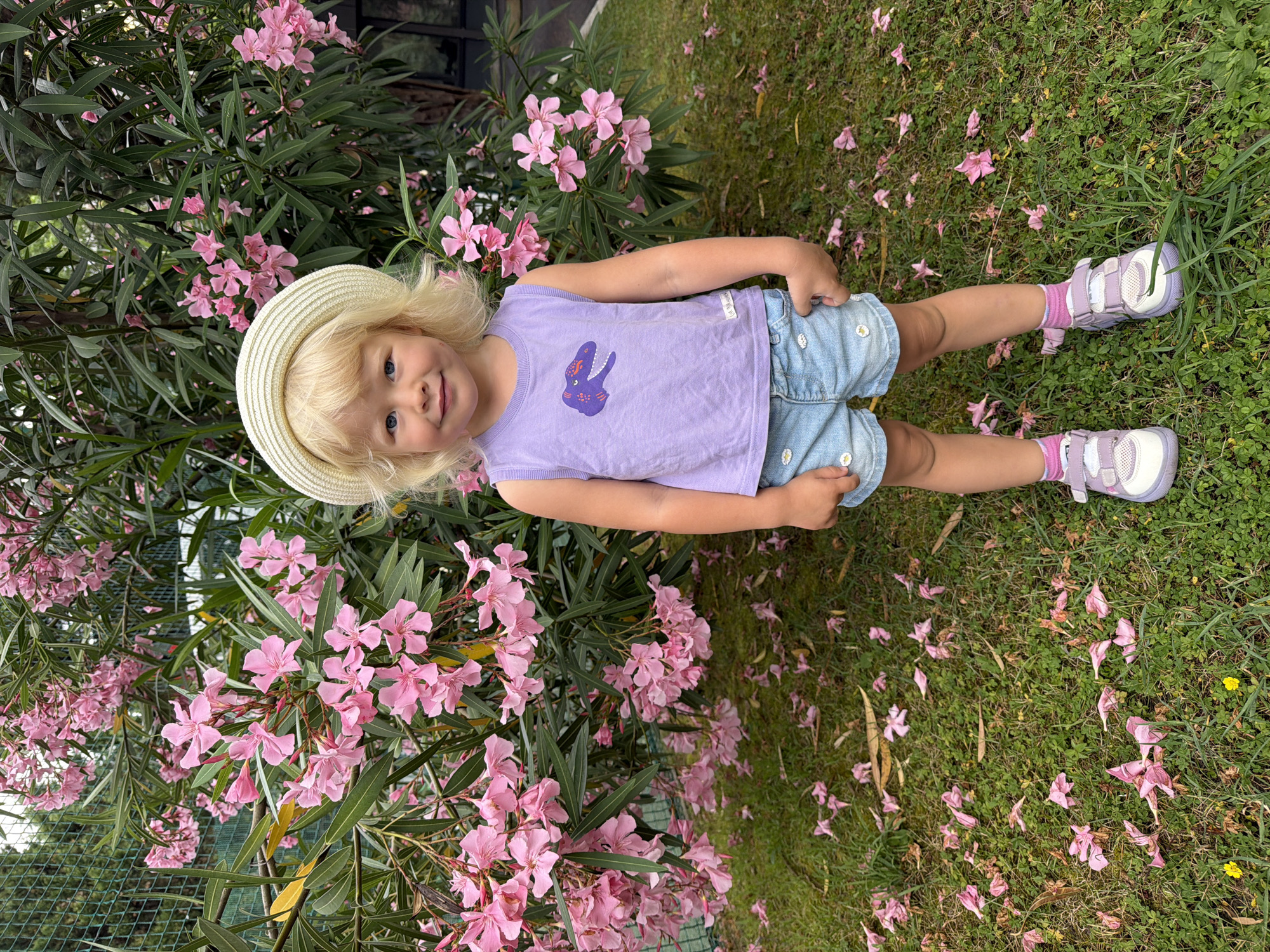 A young girl with blonde hair and blue eyes, wearing a straw hat, a purple t-shirt with a dinosaur print, and denim shorts, stands in front of a bush with pink flowers. She is also wearing pink and white sneakers. The ground is covered in grass and fallen pink petals. The scene appears to be outdoors, likely in a garden or park, given the presence of the flowering bush and the grassy area. It is not possible to determine the specific location within the city of Sochi, Russia, from the provided image. The girl is looking towards the camera with a slight smile.