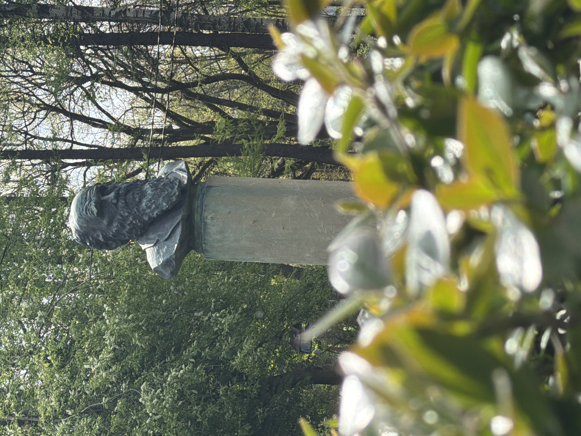 A sideways, medium shot shows the bust of Ivan Petrovich Kulibin in Pavlovo, Russia. The bust is gray, and the pedestal is a smooth, gray cylinder. Trees and foliage surround the monument, with additional leaves and flowers obscuring the view in the foreground.