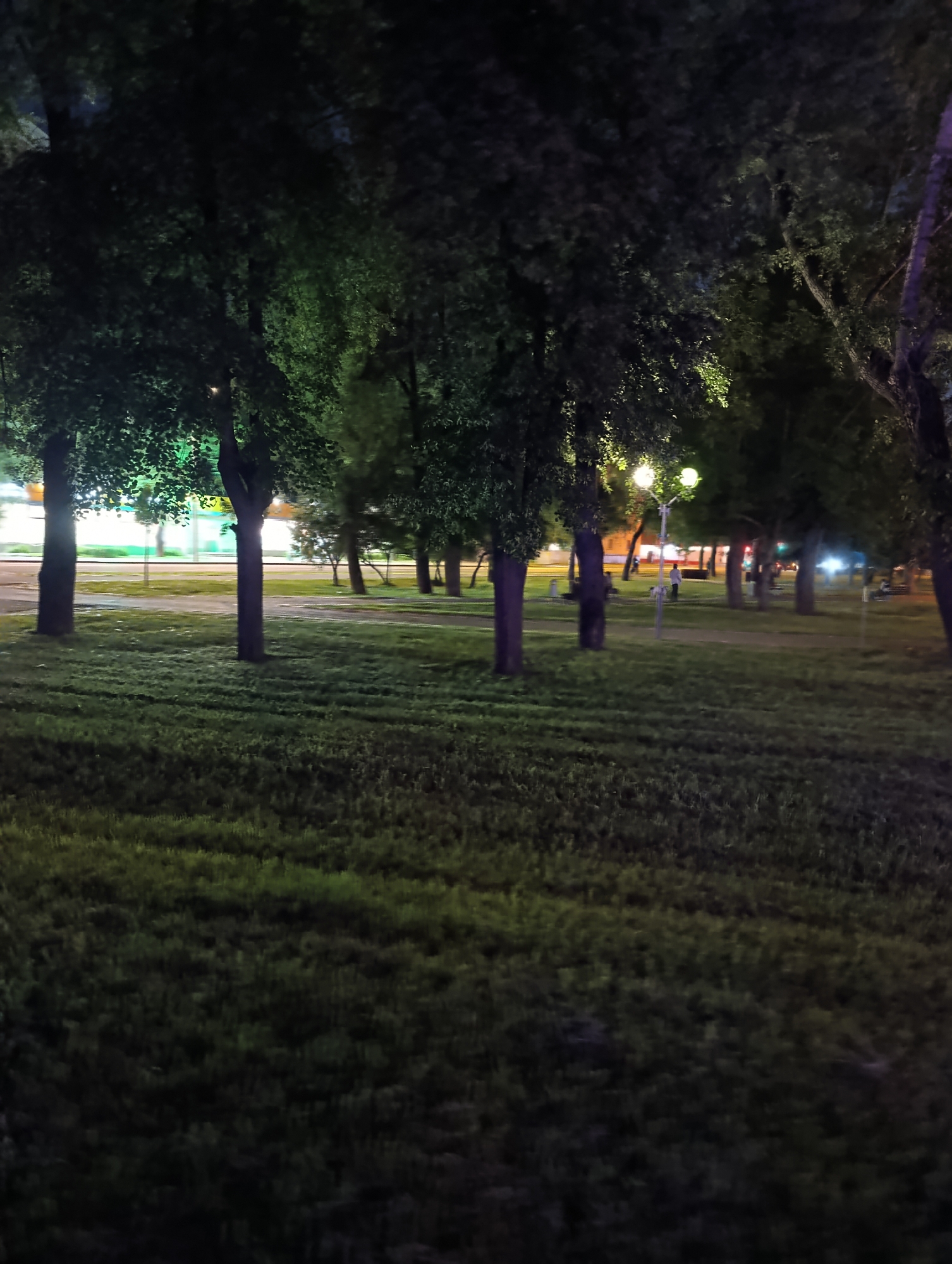 This image depicts a nighttime scene within a park in Moscow, Russia. The foreground consists of a dark green grassy expanse with visible texture, indicating mown grass. The midground features a line of mature trees with dense, dark foliage, some of which are illuminated with a bright green or yellow-green light from unseen sources. Several dark tree trunks are visible. Towards the center-right, a lamppost with two luminous, circular light sources is present.
In the background, beyond a paved area or pathway, more trees are visible, along with indistinct illuminated structures and further artificial light sources. A single human figure, wearing light-colored clothing, is discernible walking near the lamppost in the mid-background. Additional, highly indistinct human figures appear further back among the trees. The overall lighting is low, relying entirely on artificial illumination, resulting in deep shadows and stark contrasts. One tree trunk on the far right exhibits a subtle purple hue, suggesting specific color lighting. The sky is not visible due to the dense tree canopy and darkness.