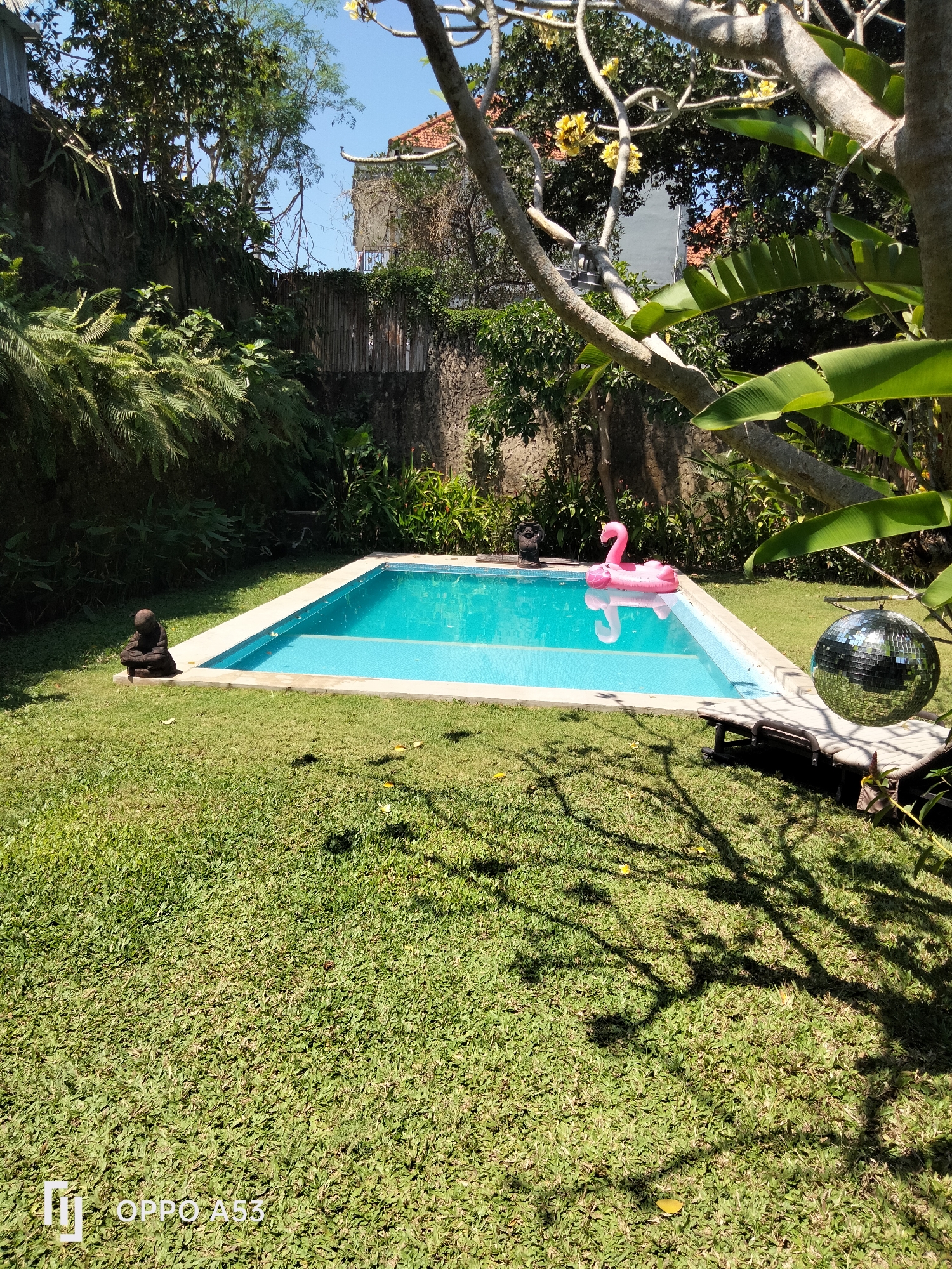 This image depicts a private outdoor swimming pool area, likely in the city of North Kuta, Indonesia, given the tropical vegetation and architectural style. The pool is rectangular and filled with bright blue water. A pink inflatable flamingo floats on the surface of the water, suggesting a recreational or party atmosphere. To the left of the pool, a small, dark statue, possibly of a seated figure, rests on the lush green grass. On the right side of the pool, a sun lounger is partially visible, and a disco ball hangs from a tree branch, reflecting light. The area is surrounded by dense, green tropical foliage, including ferns and banana-like leaves, with a textured stone wall in the background. The overall impression is one of a serene, tropical oasis.