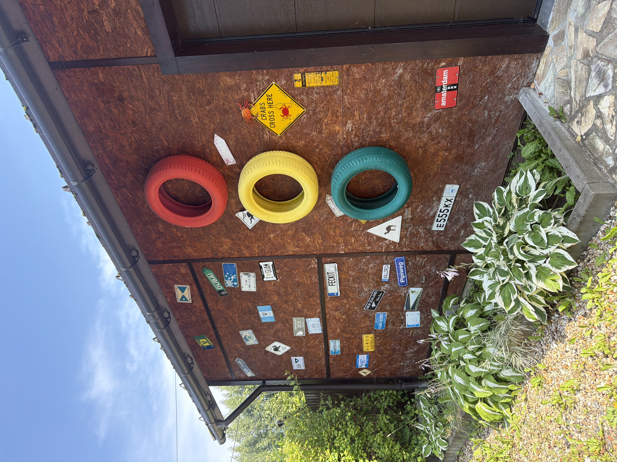 A brown, plywood-clad shed in Новорижские Ключи Кп, Russia, is decorated with numerous license plates from various locations and three brightly colored tires: red, yellow, and green. Above the shed, a gutter system and roof are visible, with a blue sky and scattered clouds overhead. In front of the shed, lush green hosta plants with white variegation are planted in a gravel and stone-paved area. A concrete planter box separates the plants from the paving. The shed door, made of dark wood, is on the right side of the image. A yellow diamond-shaped sign with a red crab and the text "CRABS CROSS HERE" is mounted on the shed, along with a smaller yellow warning sign. A red license plate with "amsterdam" in white lettering is also visible on the shed.